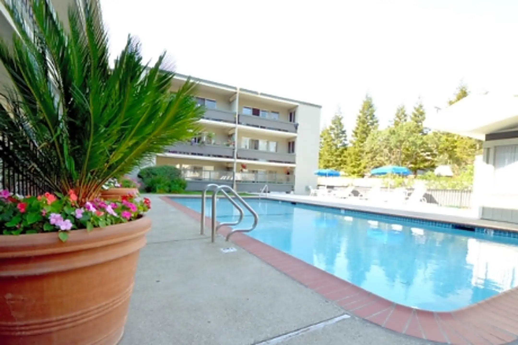 The Arbors 1250 Walker Ave Walnut Creek, CA Apartments for Rent Rent.