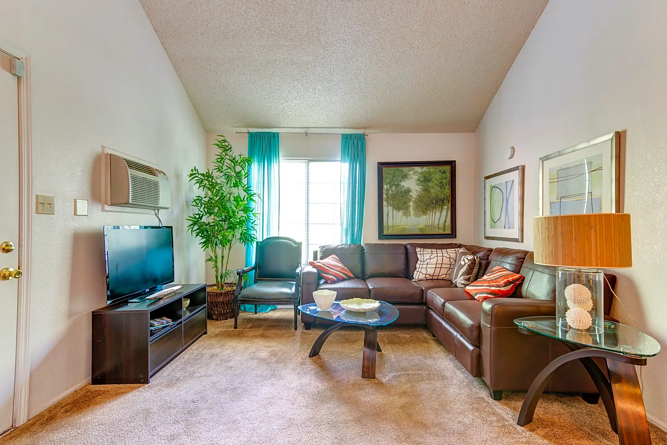 Cinnamon Tree Albuquerque, NM 87108