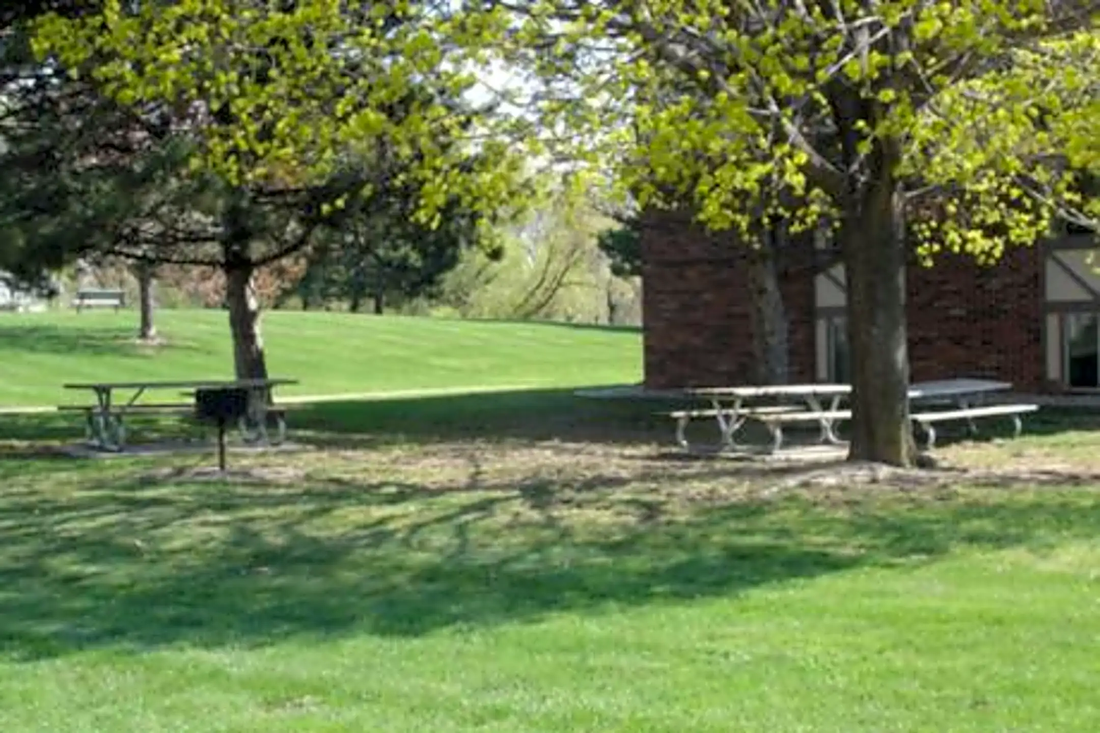 Pine Creek Clio, MI 48420