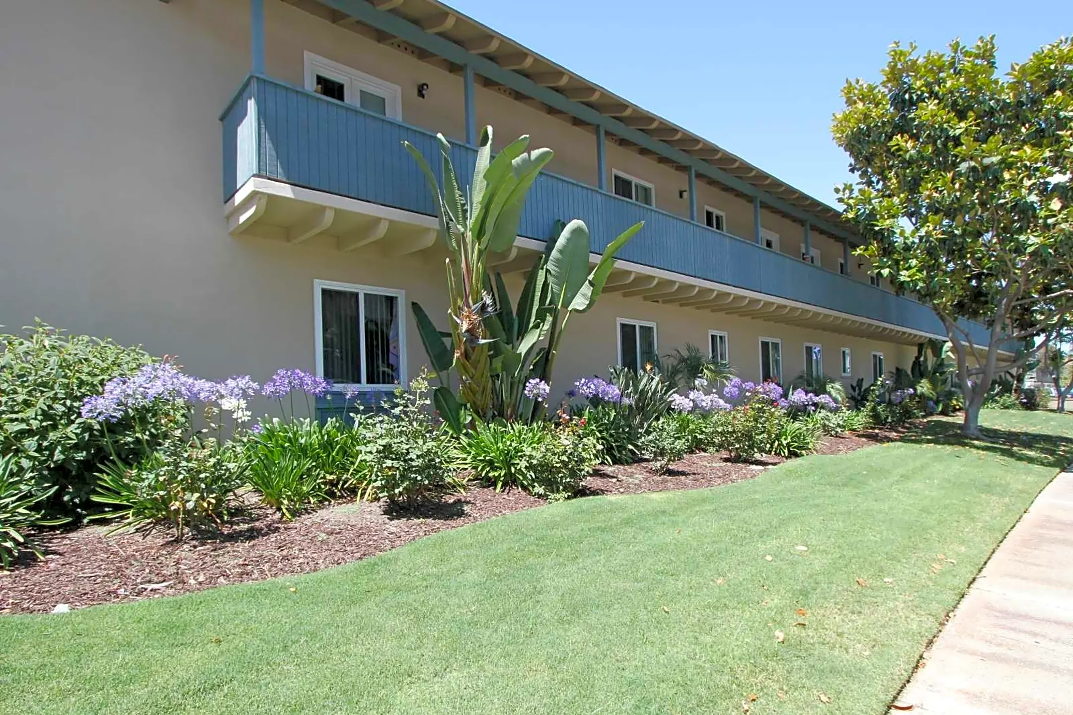 Arrive Clairemont 6363 Beadnell Way San Diego, CA Apartments for Rent Rent.