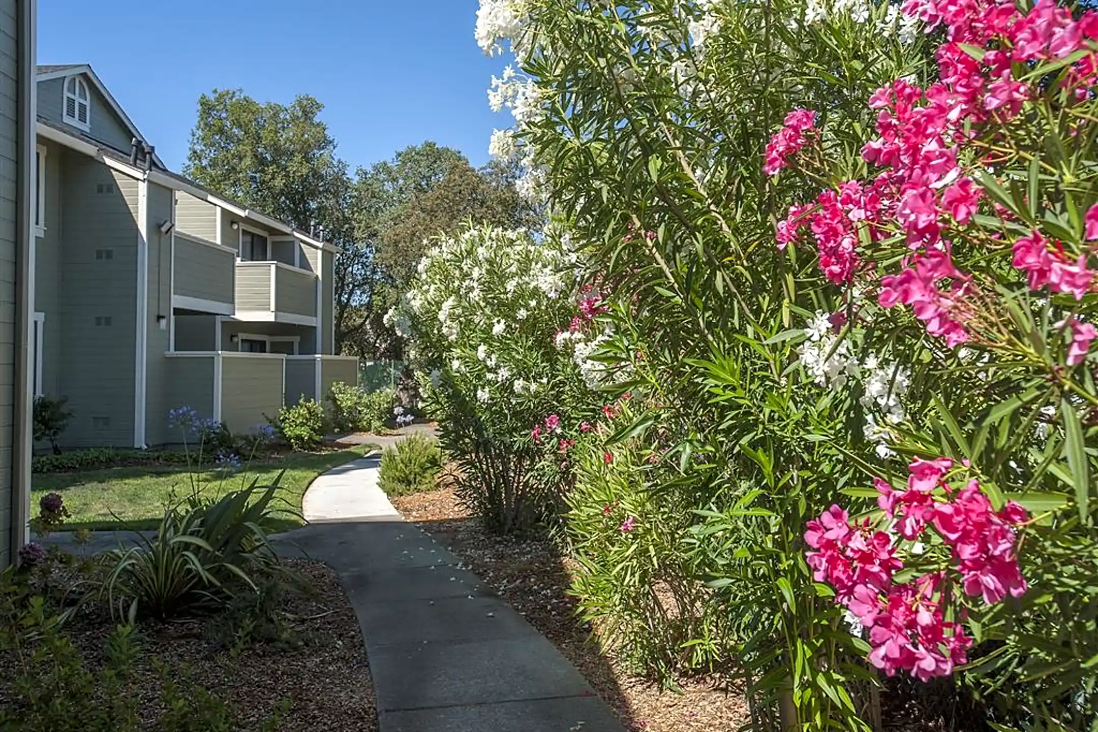 Ridgecrest Apartments 3430 Vista Oaks Dr Martinez, CA Apartments