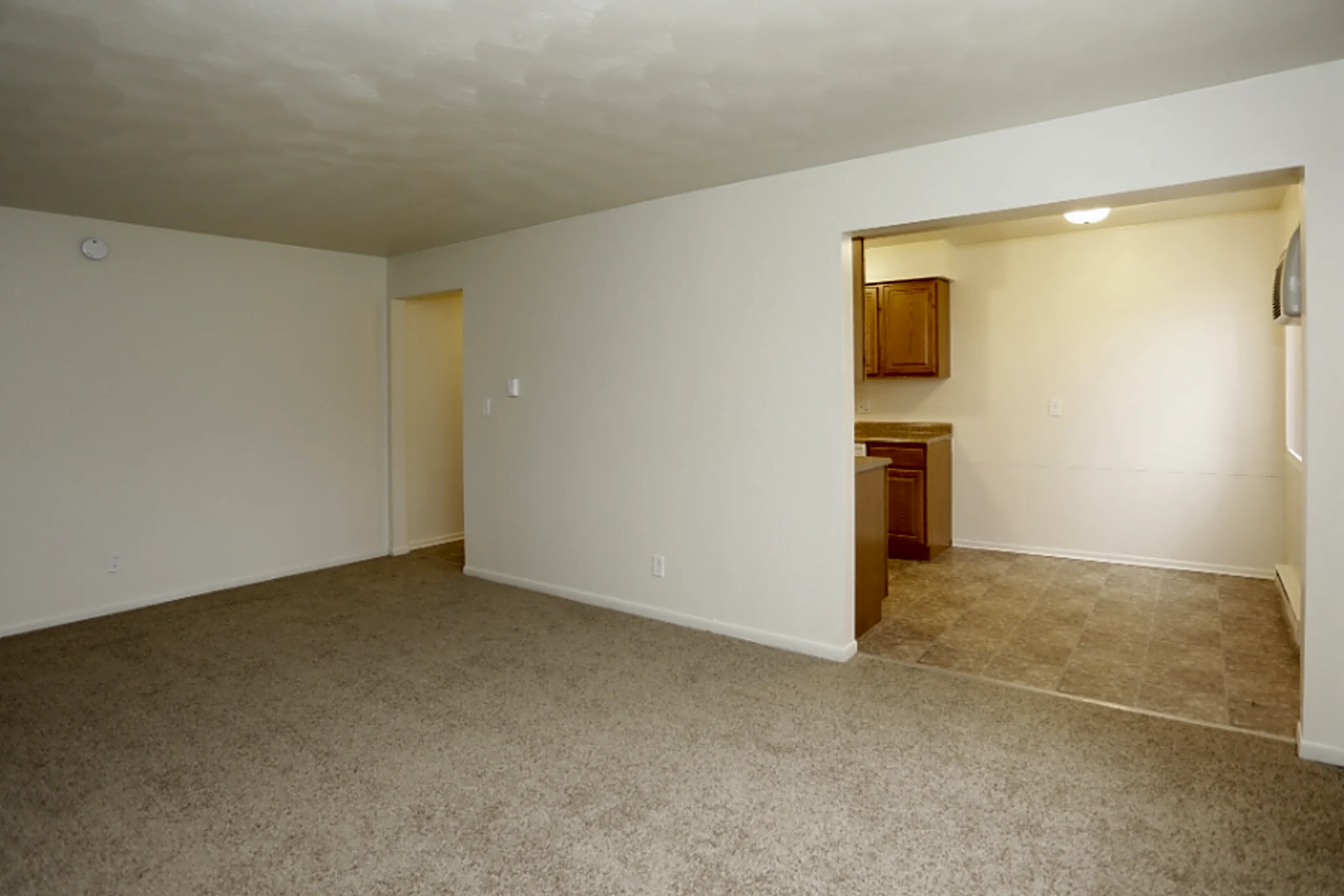 Cmu Apartments Mount Pleasant
