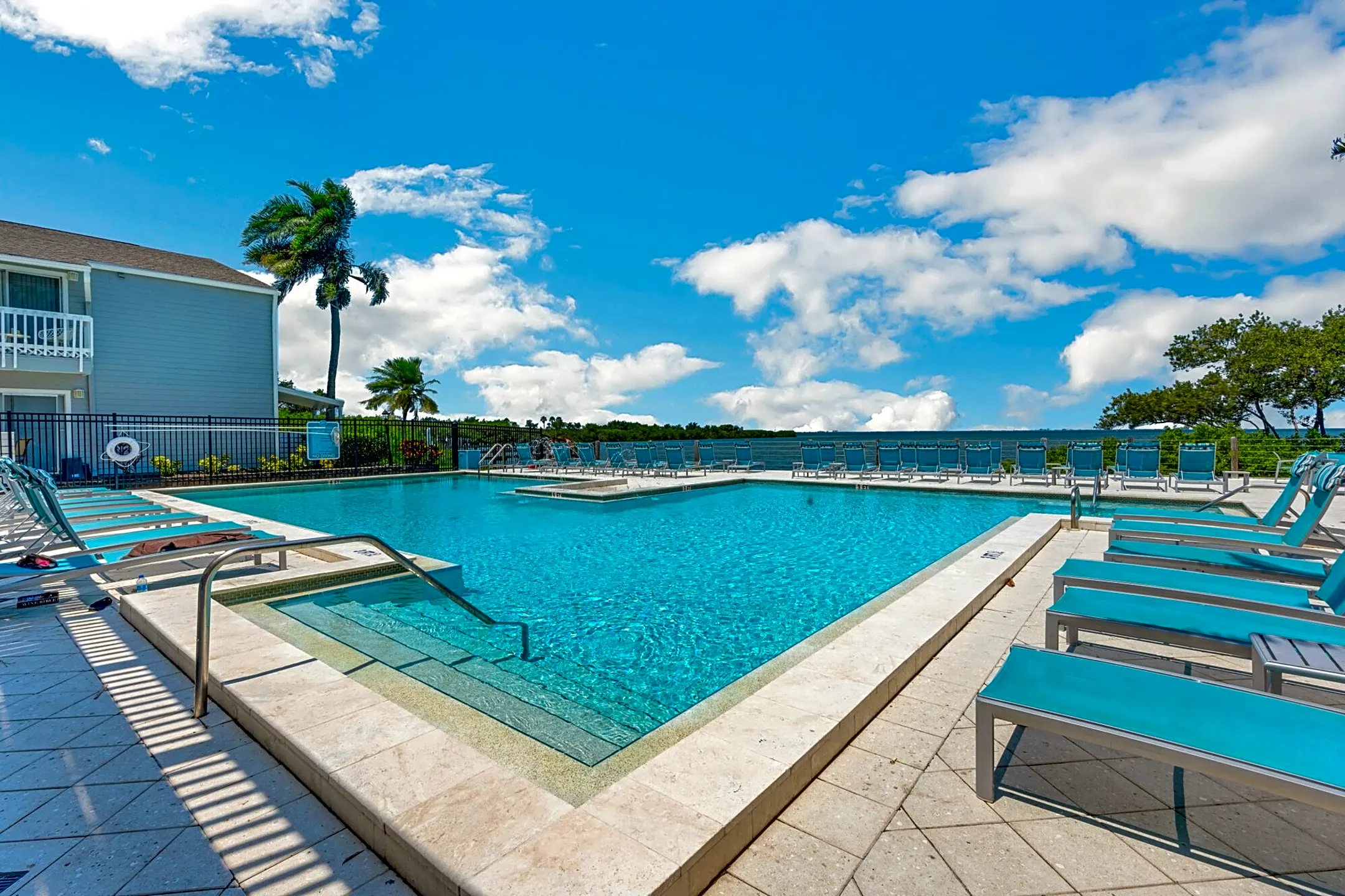 Pool - The Delmar - Tampa, FL