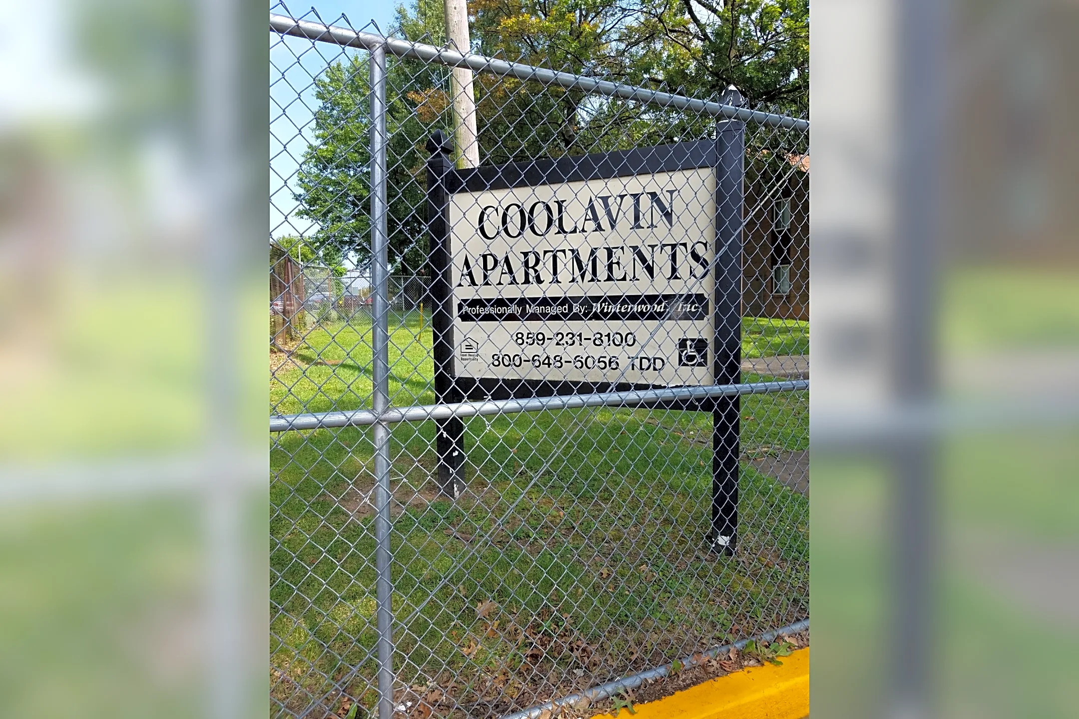 Pool - Coolavin Apartments - Lexington, KY