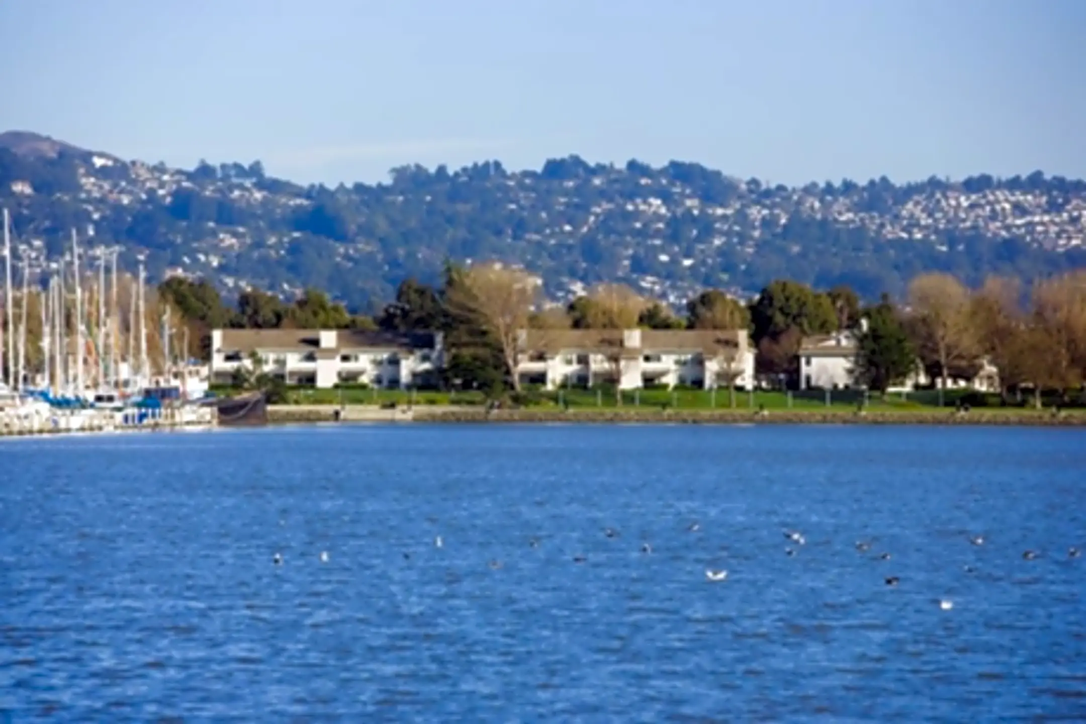 Shores at Marina Bay 1 Shoreline Ct Richmond, CA Apartments for