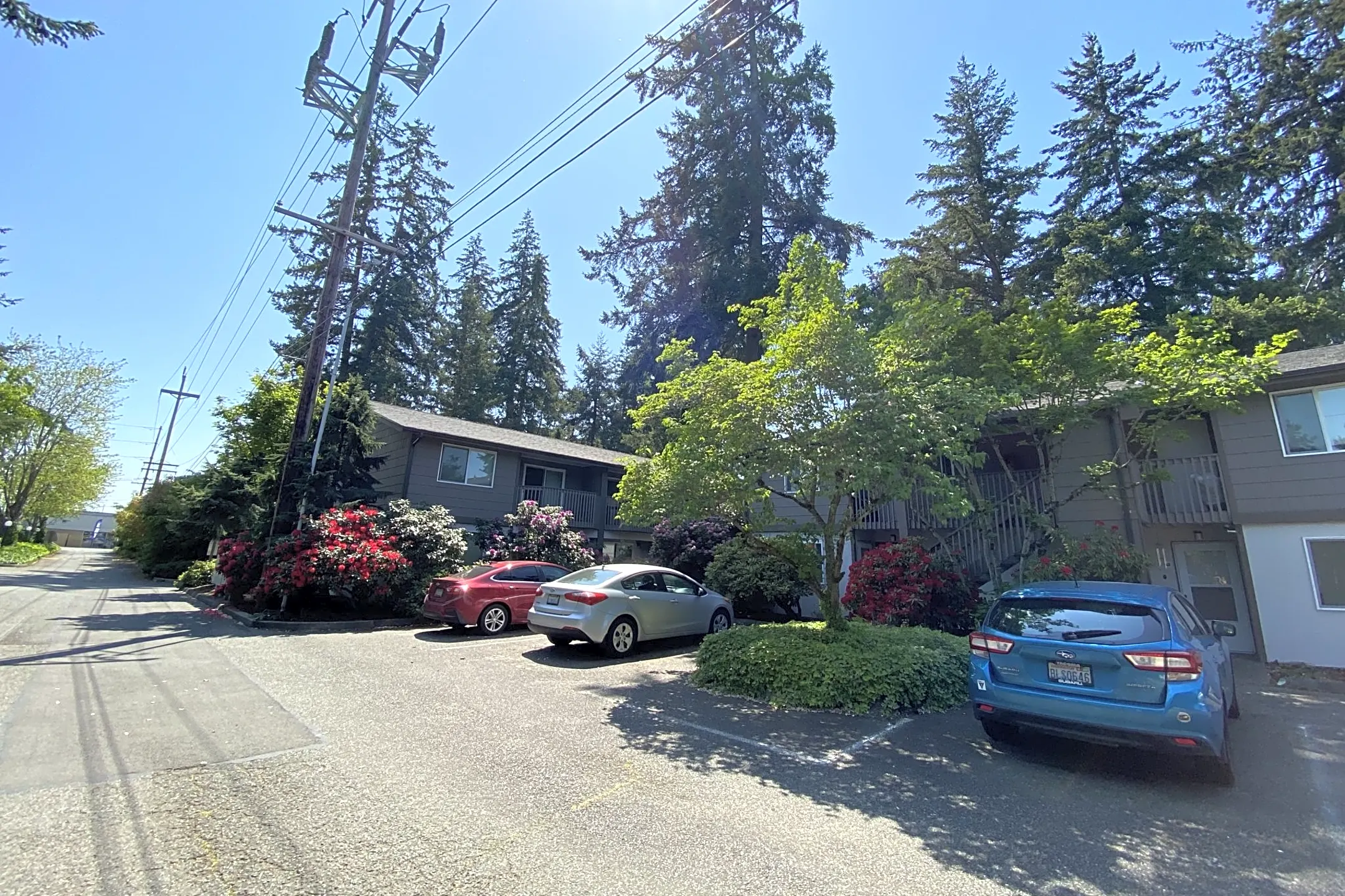 Building - Hidden Firs Apartments - Tacoma, WA