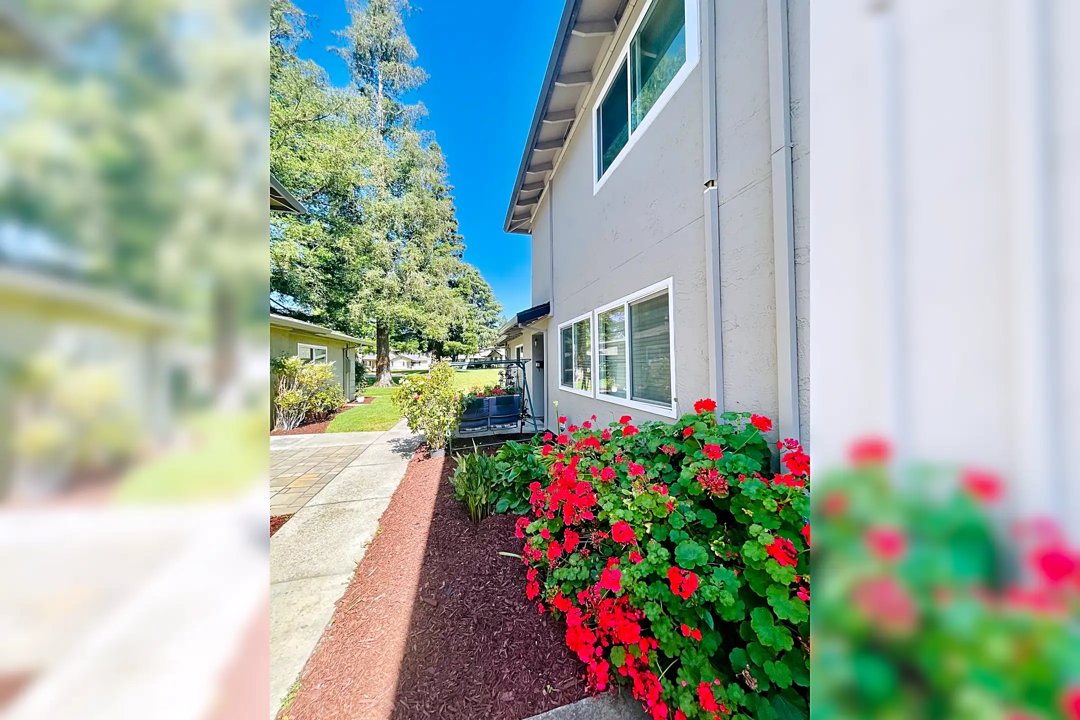 1063 Mohr Lane Concord, CA Condos for Rent Rent.