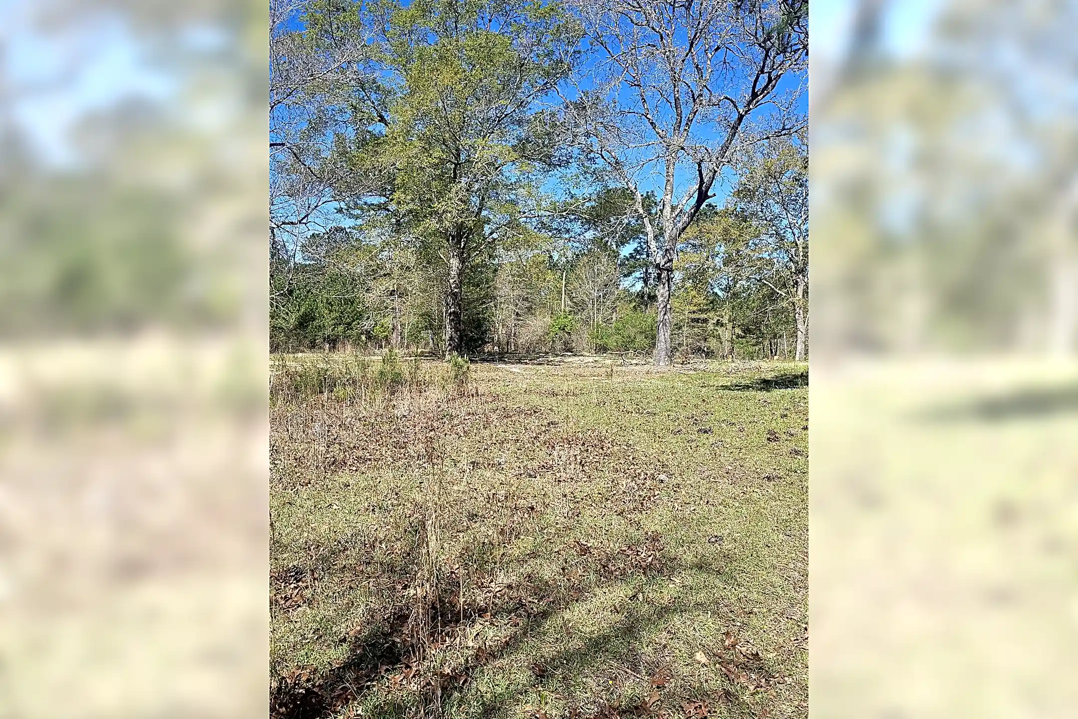 1208 Lassiter Jacobs Rd Houses Eastover, SC 29044