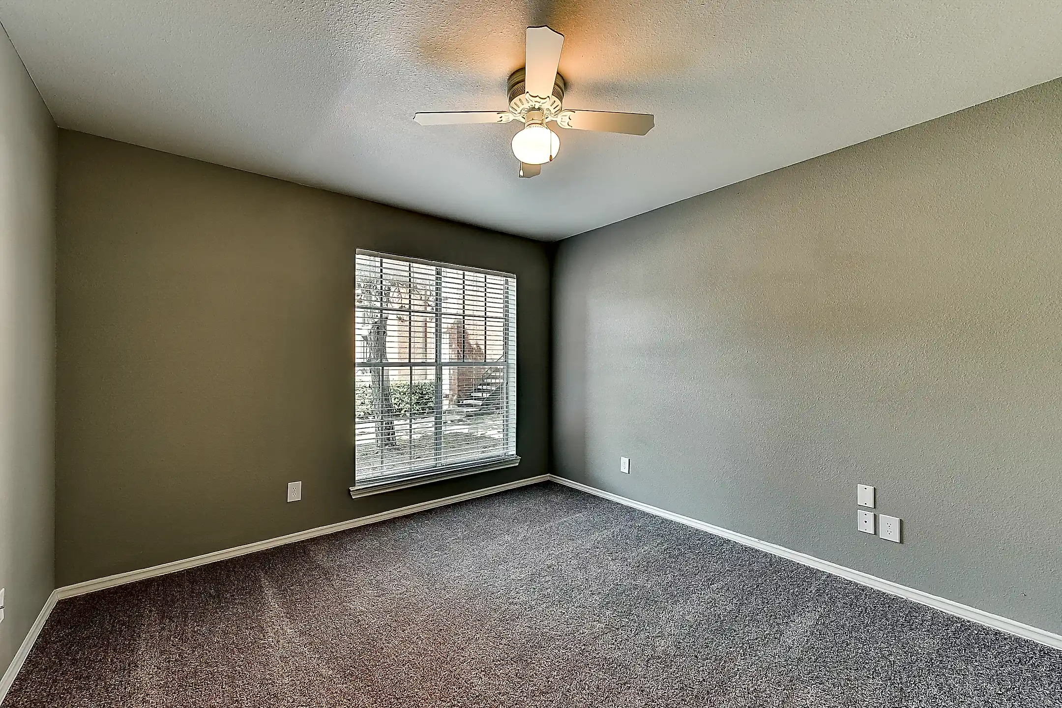 Pacifica Dallas, TX 75237