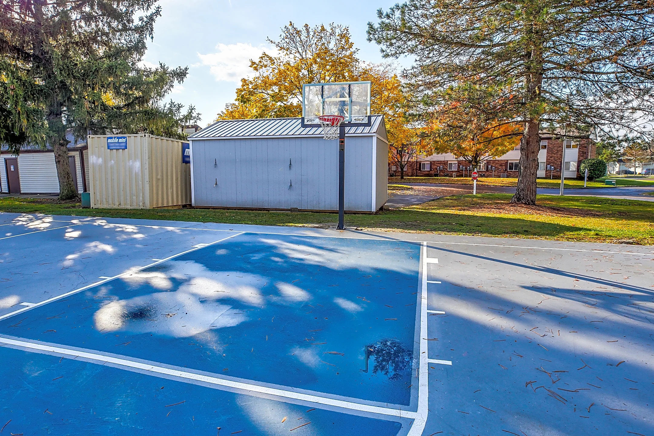Basketball Court - The Brandt at 6851 - Dayton, OH