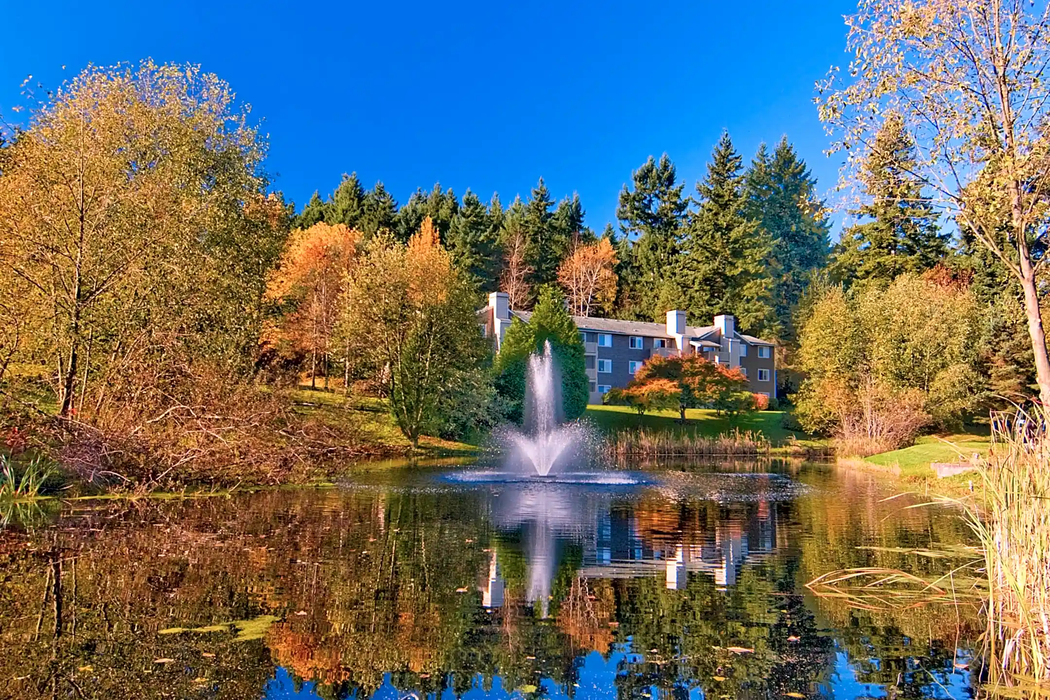 Ballinger Commons Shoreline, WA 98133