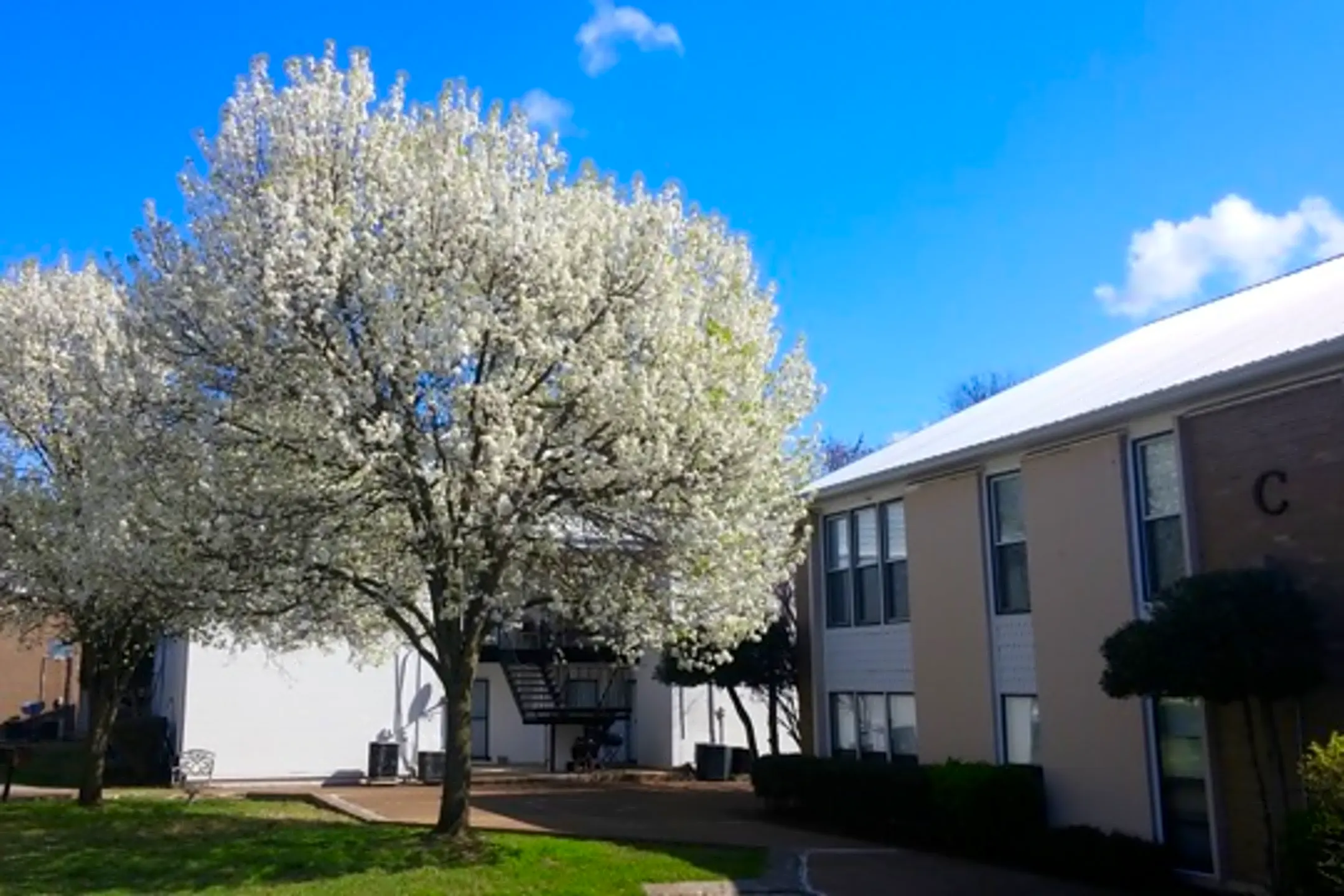 246 White Bridge Rd 246 White Bridge Rd unit B9 Nashville, TN