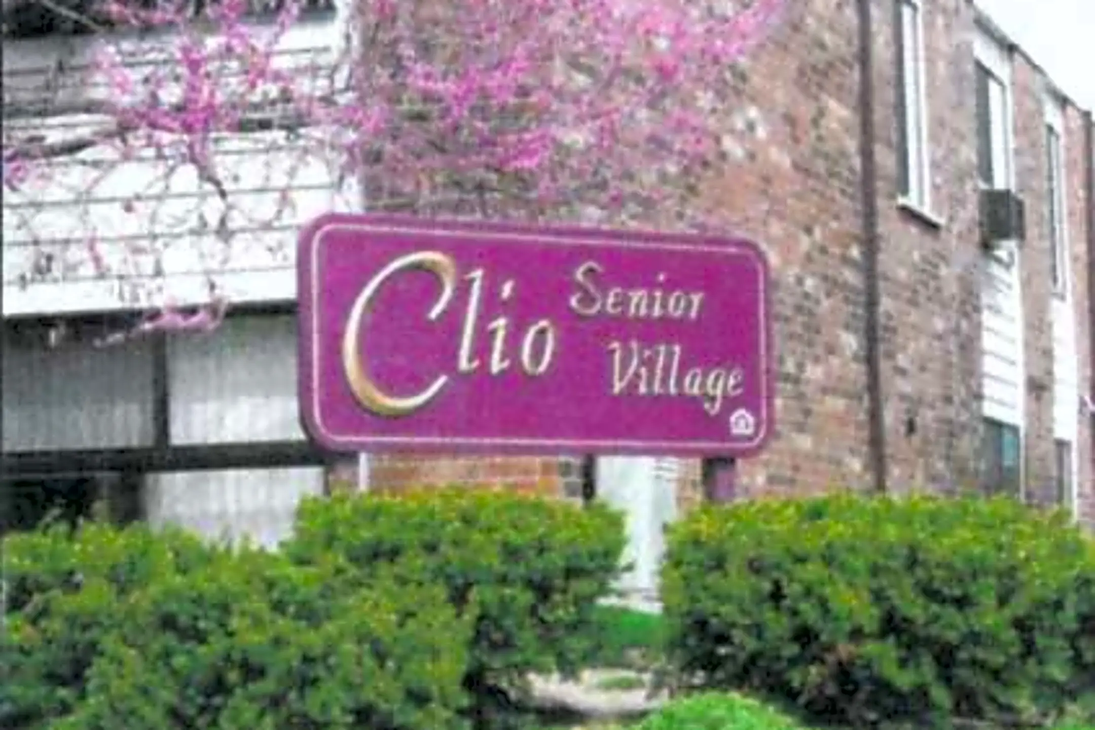 Clio Village Apartments 11535 Plaza Dr Ofc Aclio Clio, MI for Rent