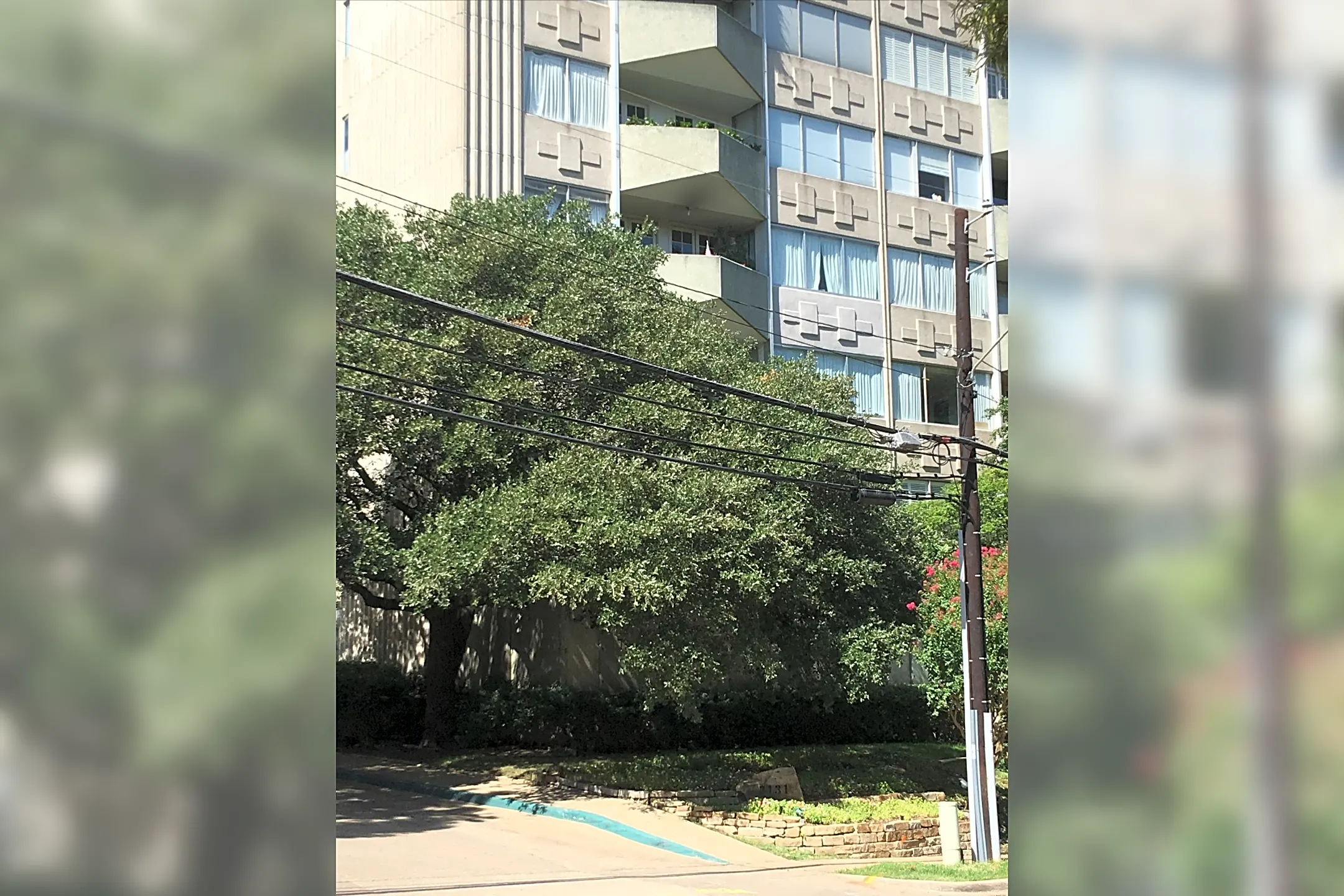 Terrace House 3131 Maple Ave Dallas TX Apartments For Rent Rent   A7ec2dd5e6df6ec620a994af45704b85