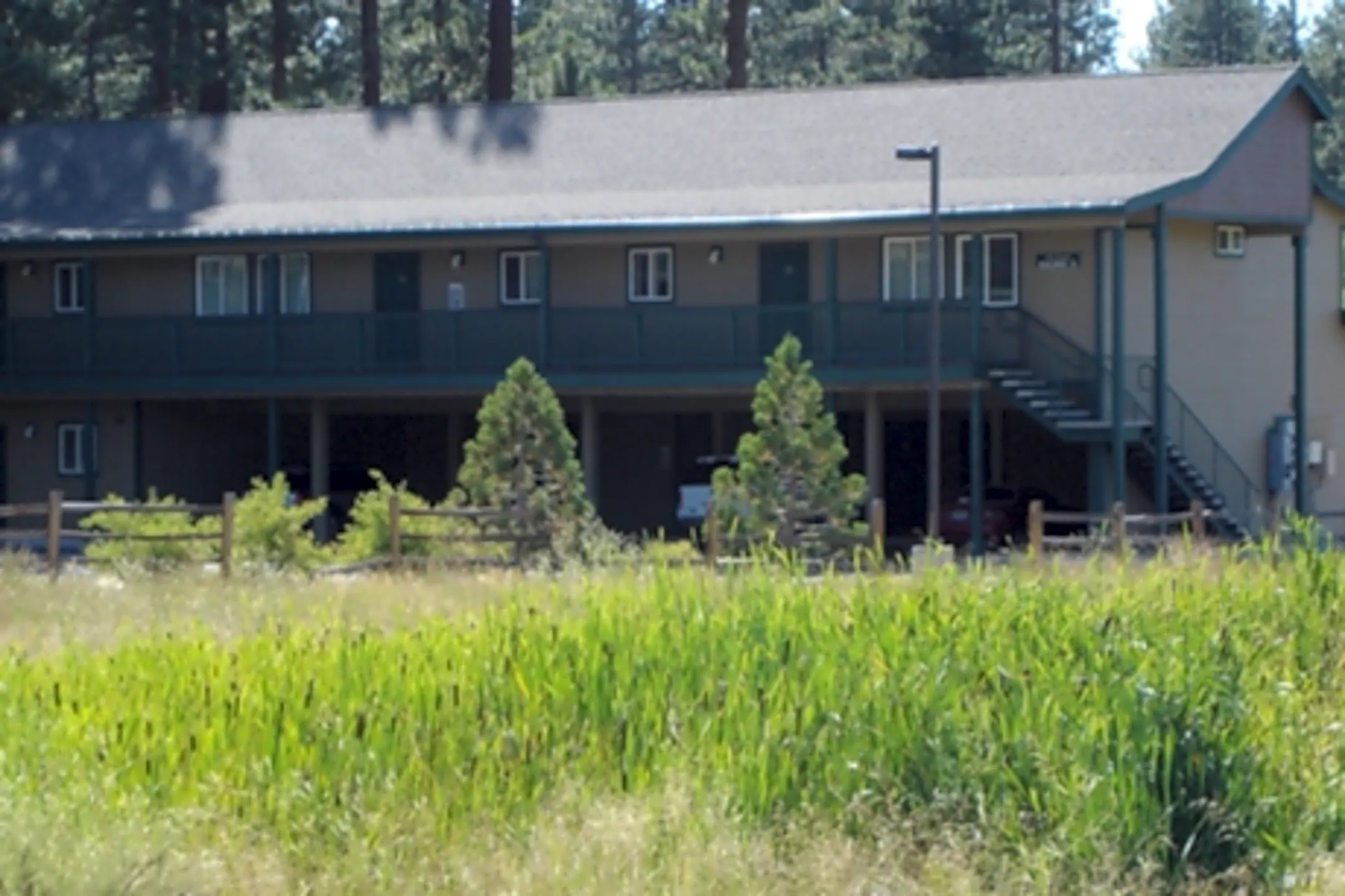 Meadowbrook Apartments 134 Kahle Dr Stateline, NV Apartments for