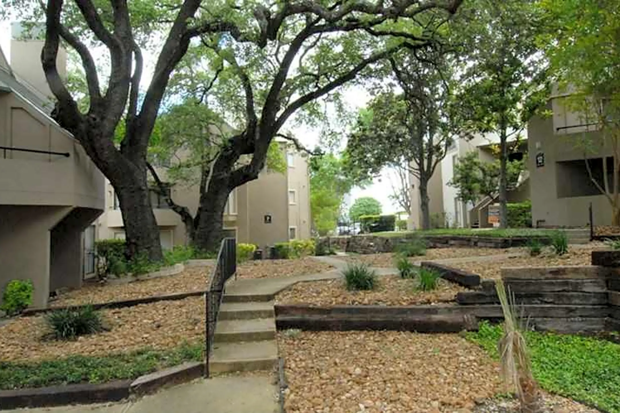 Landscaping - 4000 Horizon Hill Apartments - San Antonio, TX