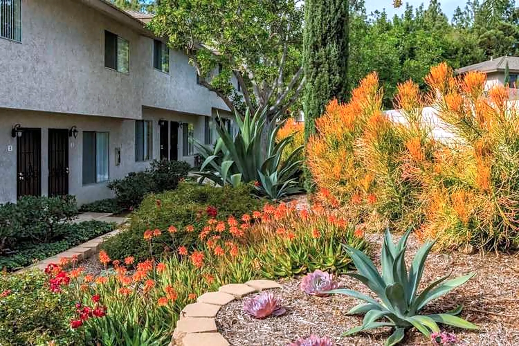 Landscaping - Casa Monterey - Spring Valley, CA