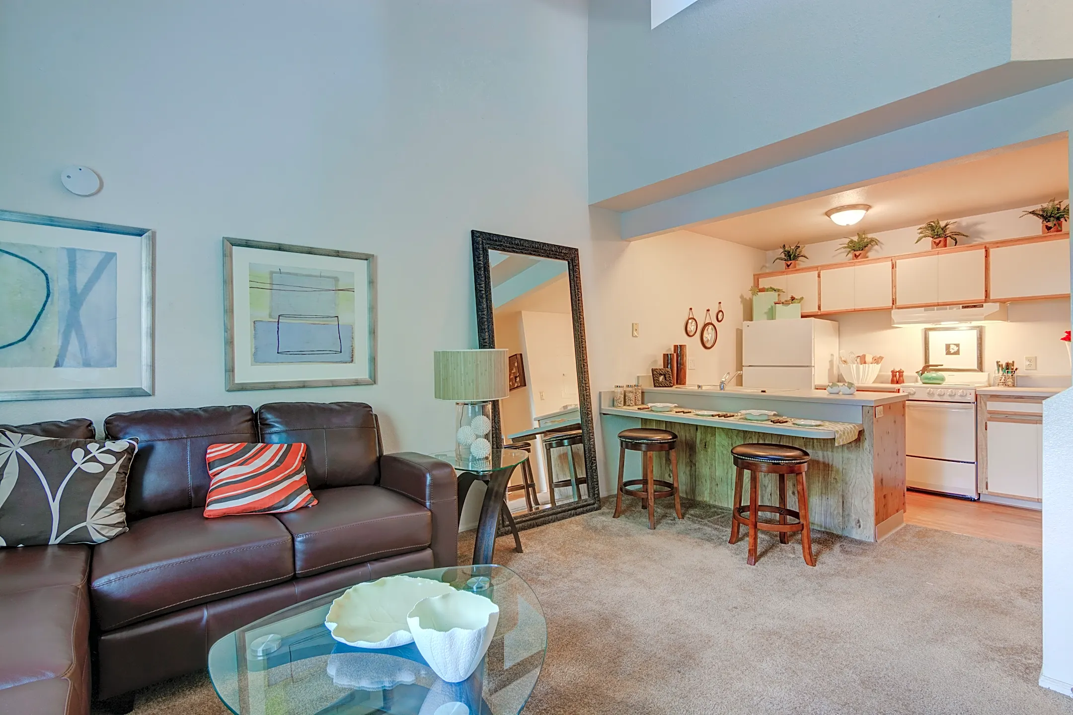 Cinnamon Tree Albuquerque, NM 87108