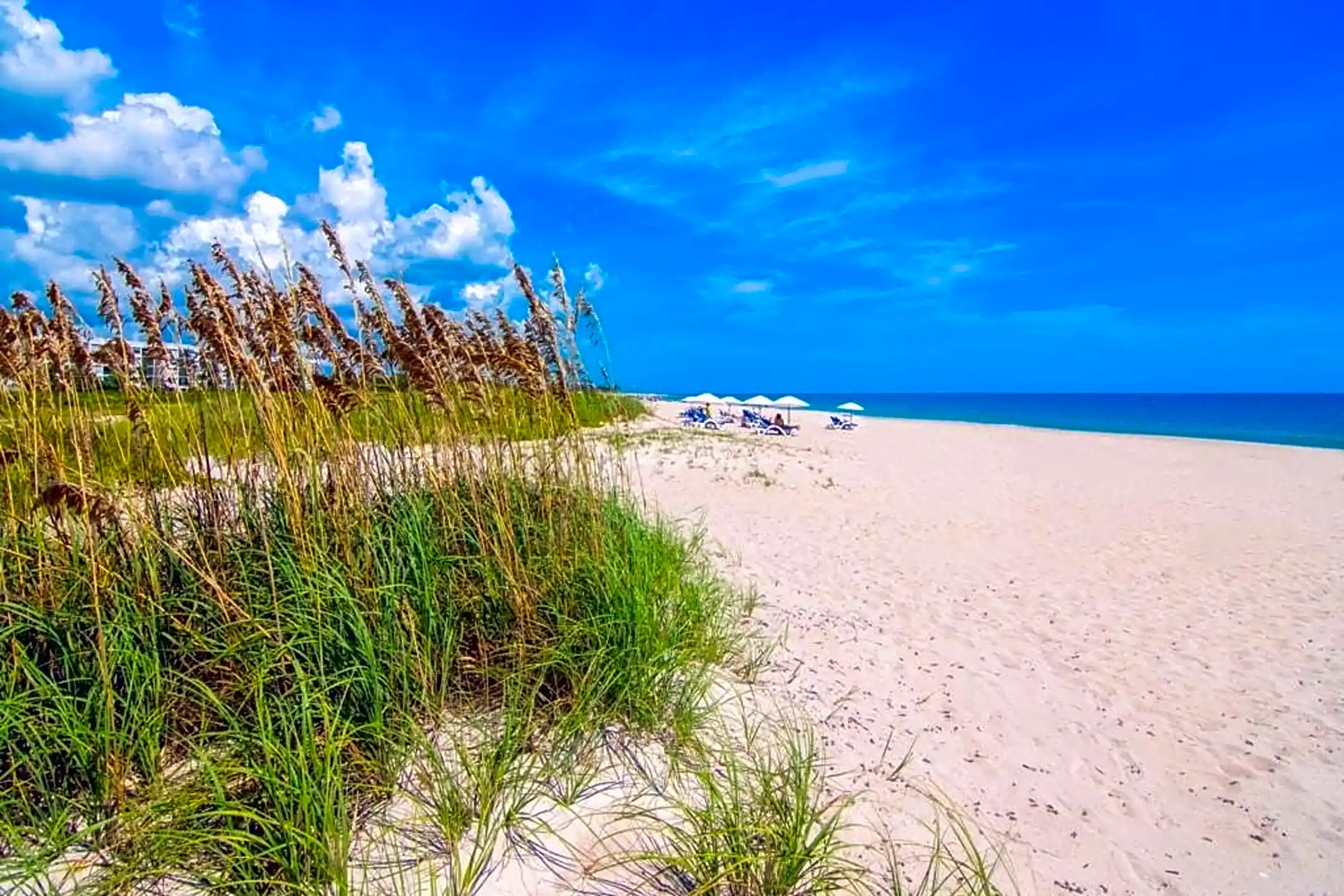 855 Dahlia Ln #205 - Vero Beach, FL