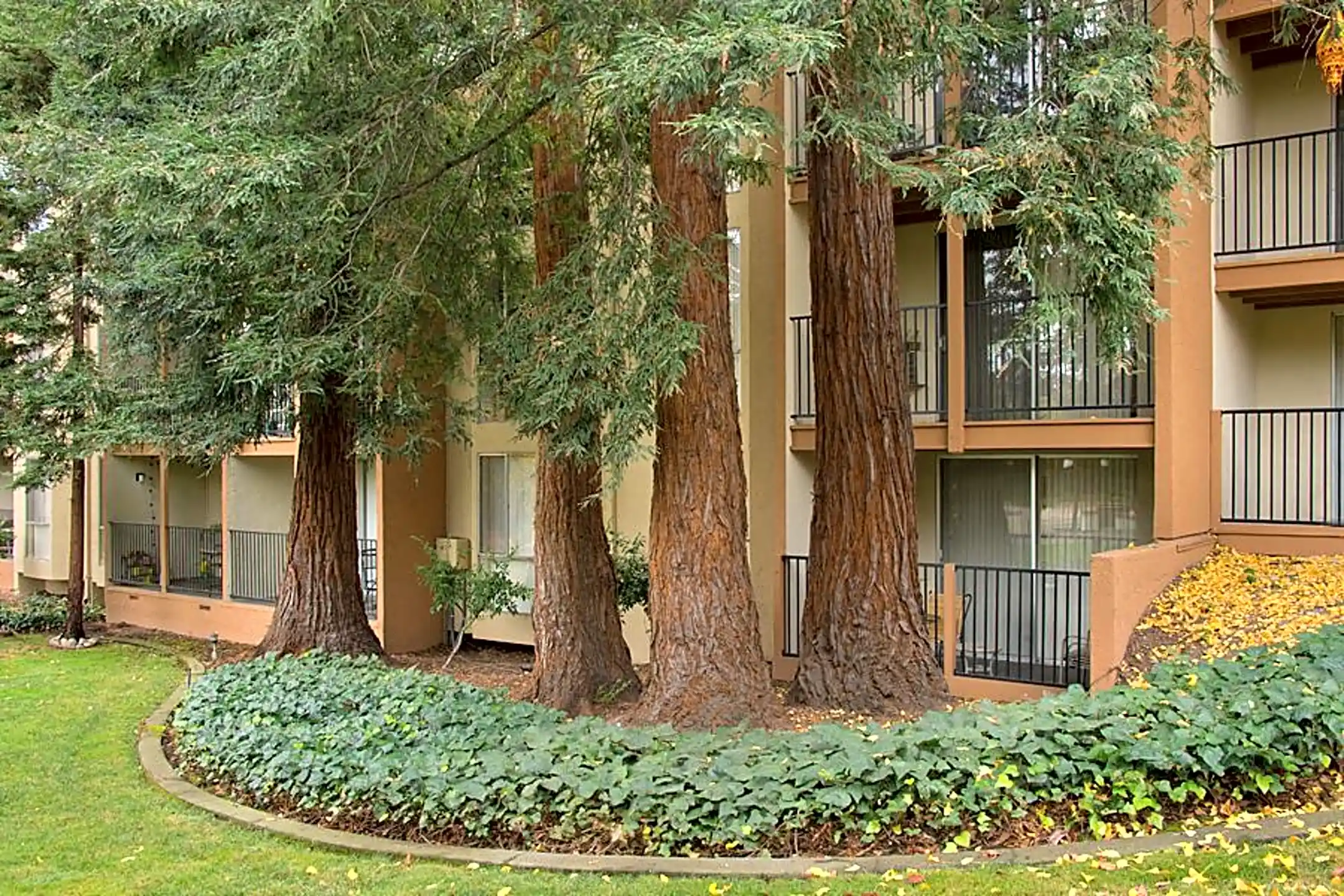 Trinity House 1812 Trinity Ave Walnut Creek, CA Apartments for Rent