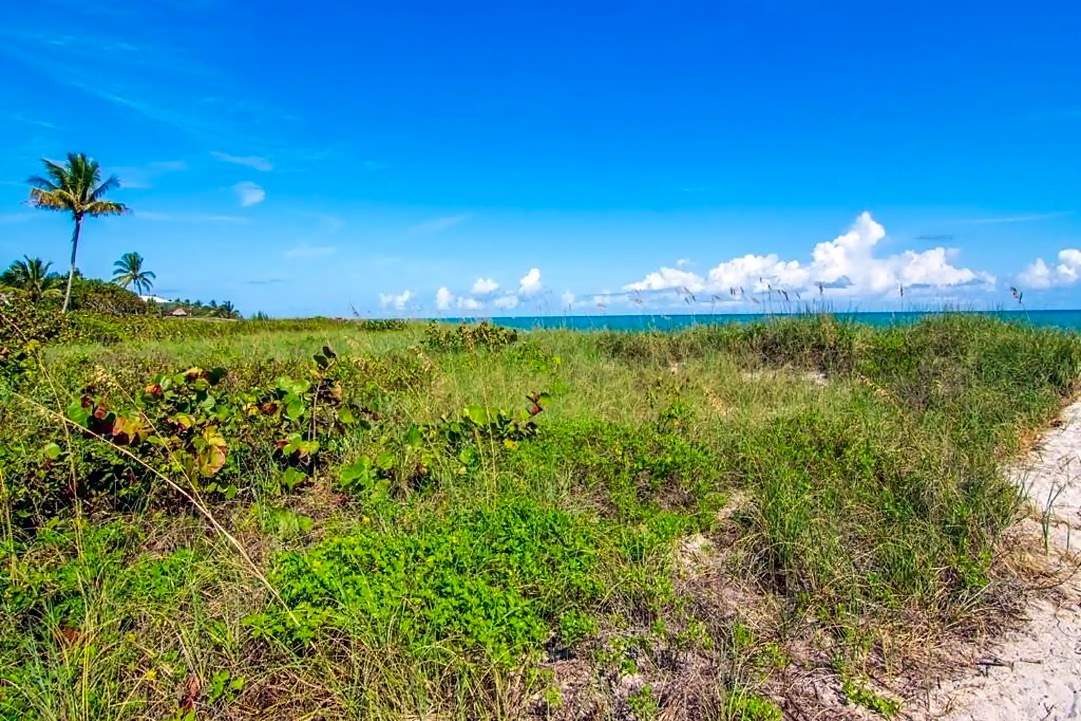 2225 Seaside St - Vero Beach, FL