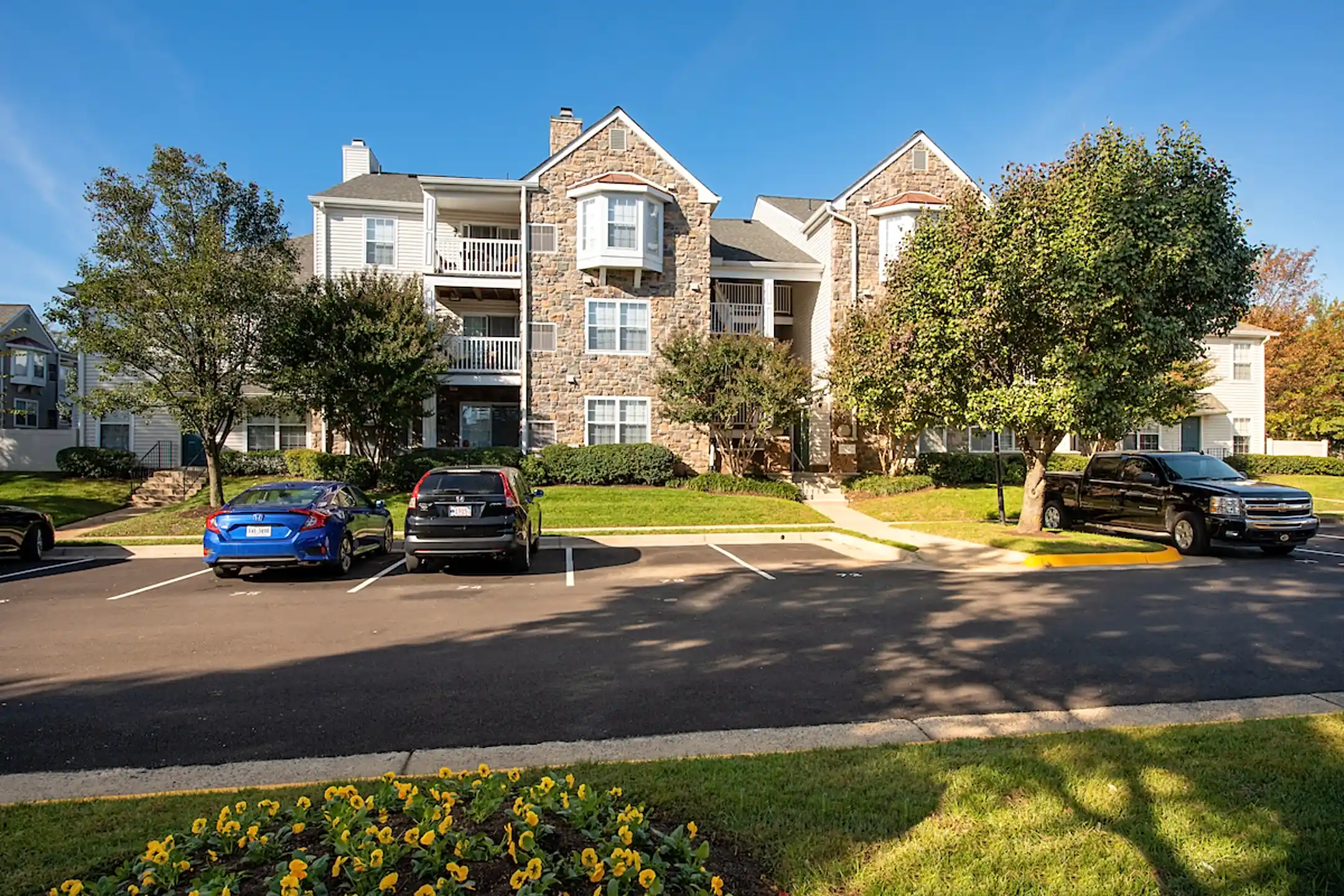 Saratoga Square - Springfield, VA