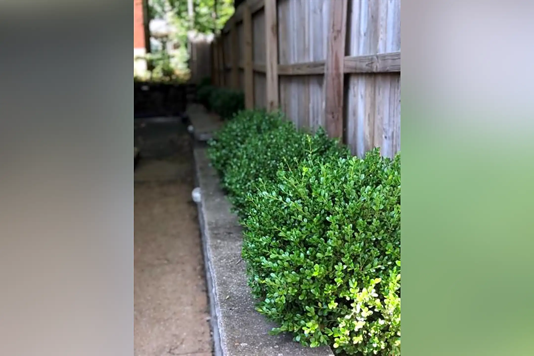 2050 Yale Ave Maplewood, MO Houses for Rent Rent.