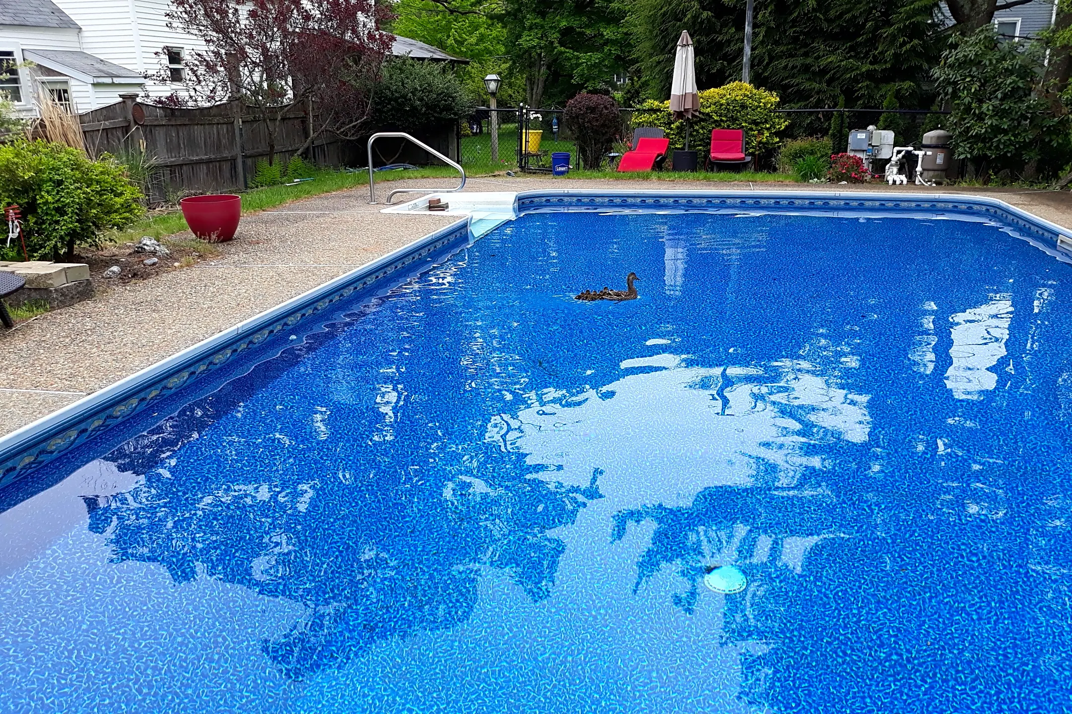 Otis Street Mansfield, MA Apartments for Rent Rent.