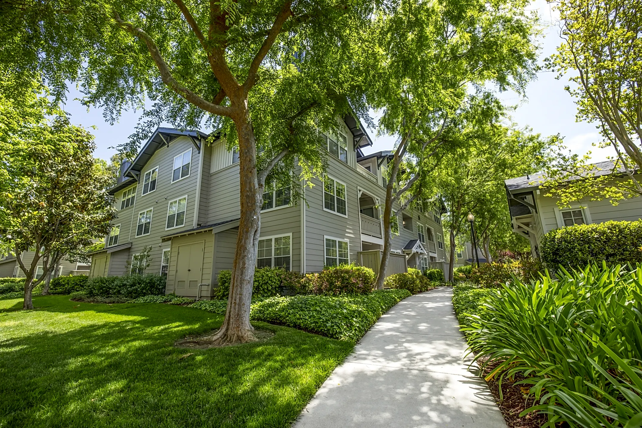 Presidio Apartments Fremont Ca