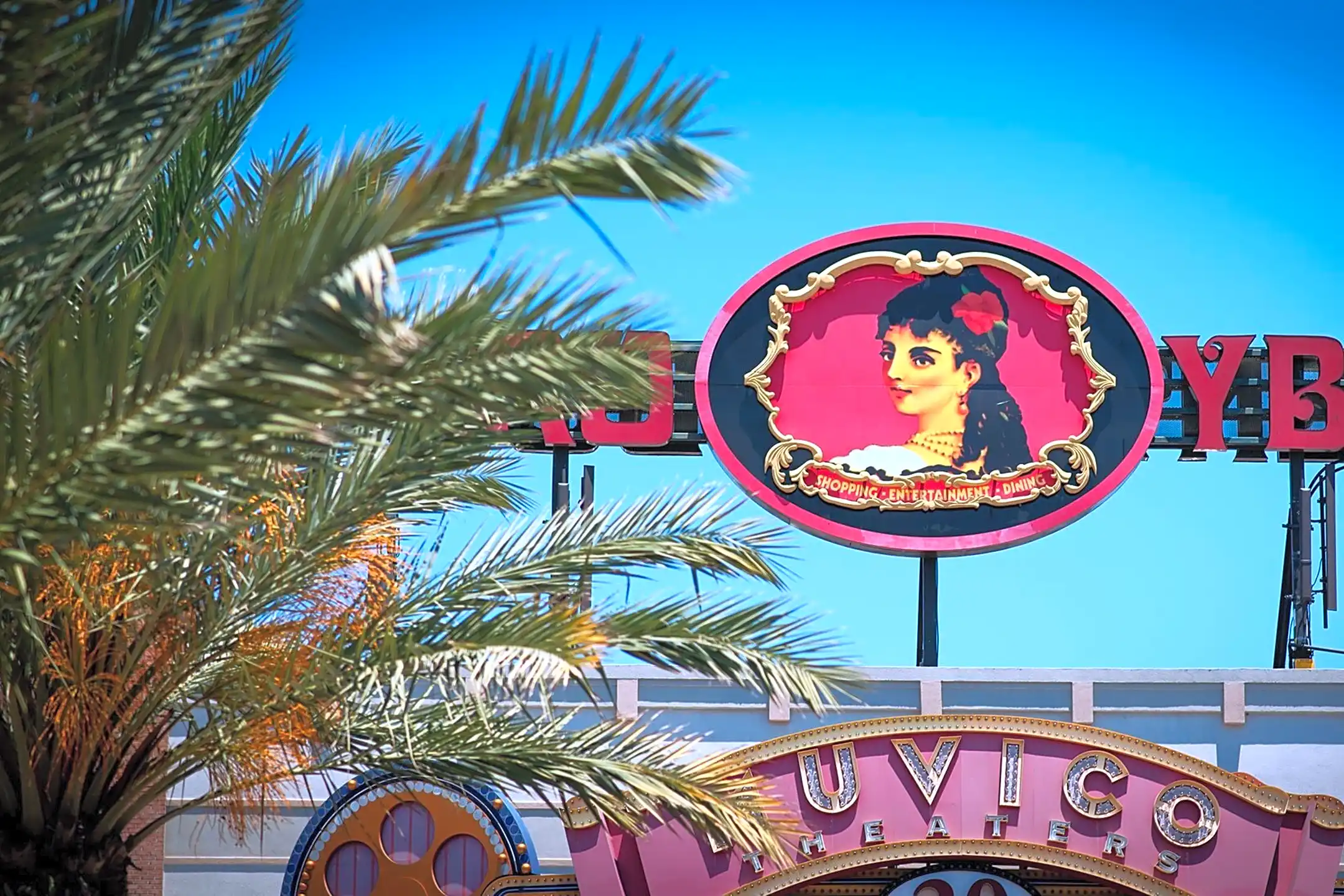 Bainbridge Ybor City 1512 E 12th Ave Tampa, FL Apartments for Rent