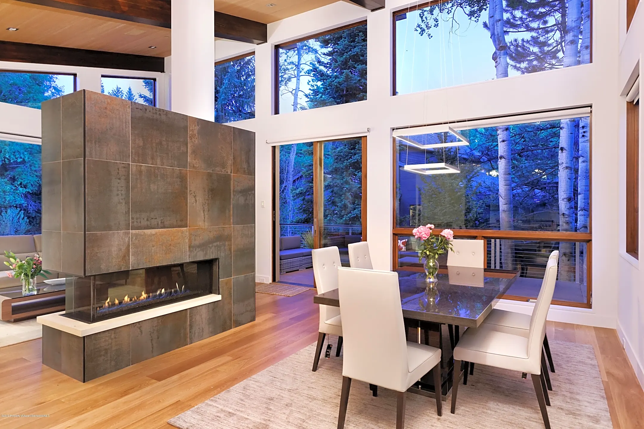 745 Castle Creek Dr Apartments Aspen, CO 81611