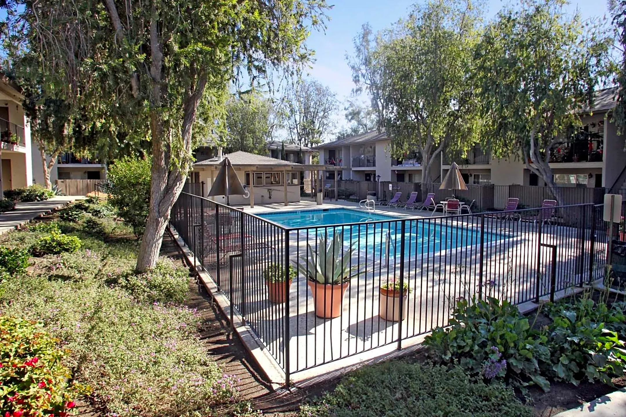 Pool - Casa Monterey - Spring Valley, CA