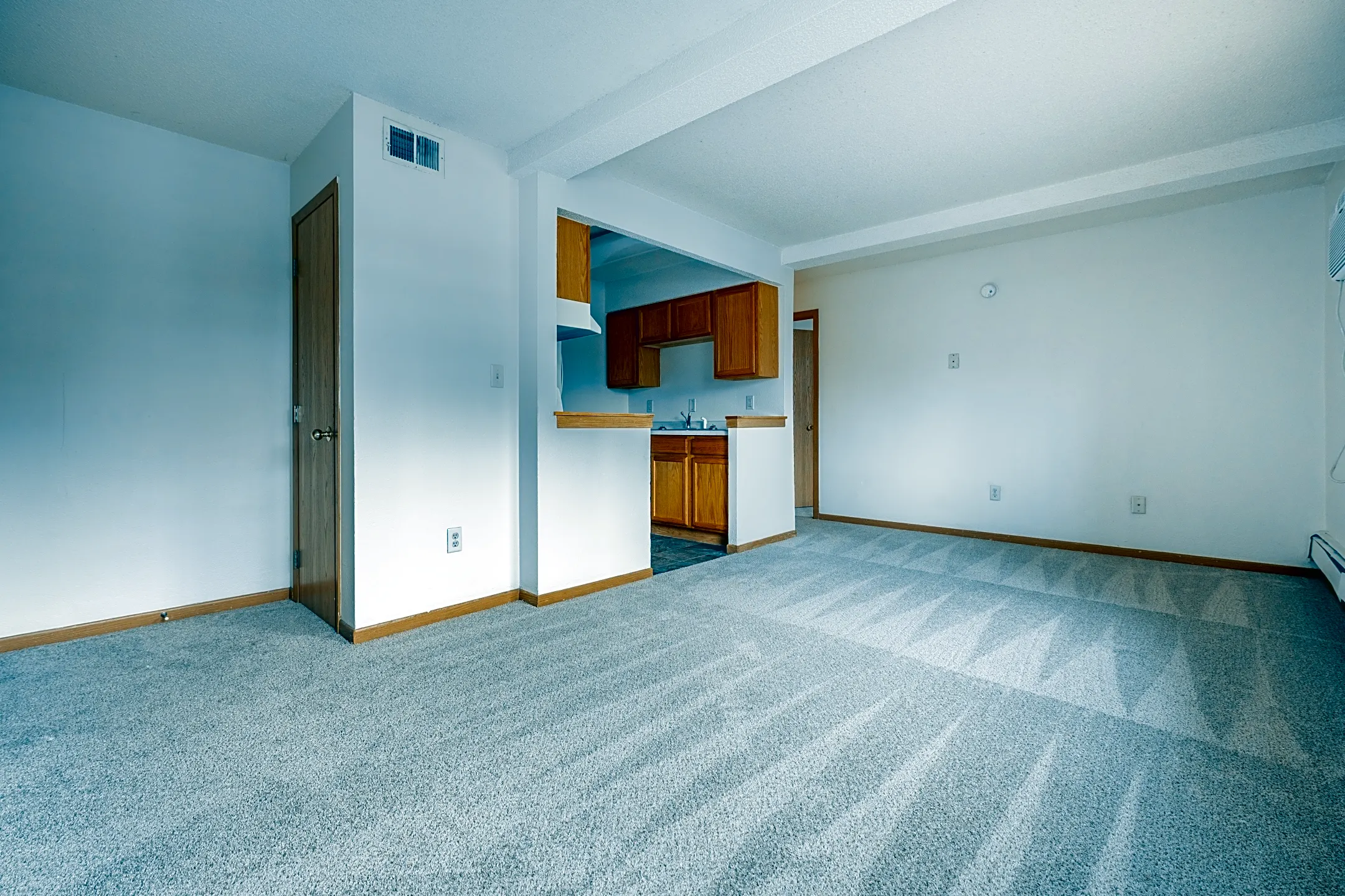 Living Room - Ames Lake Neighborhood Apartments - Saint Paul, MN