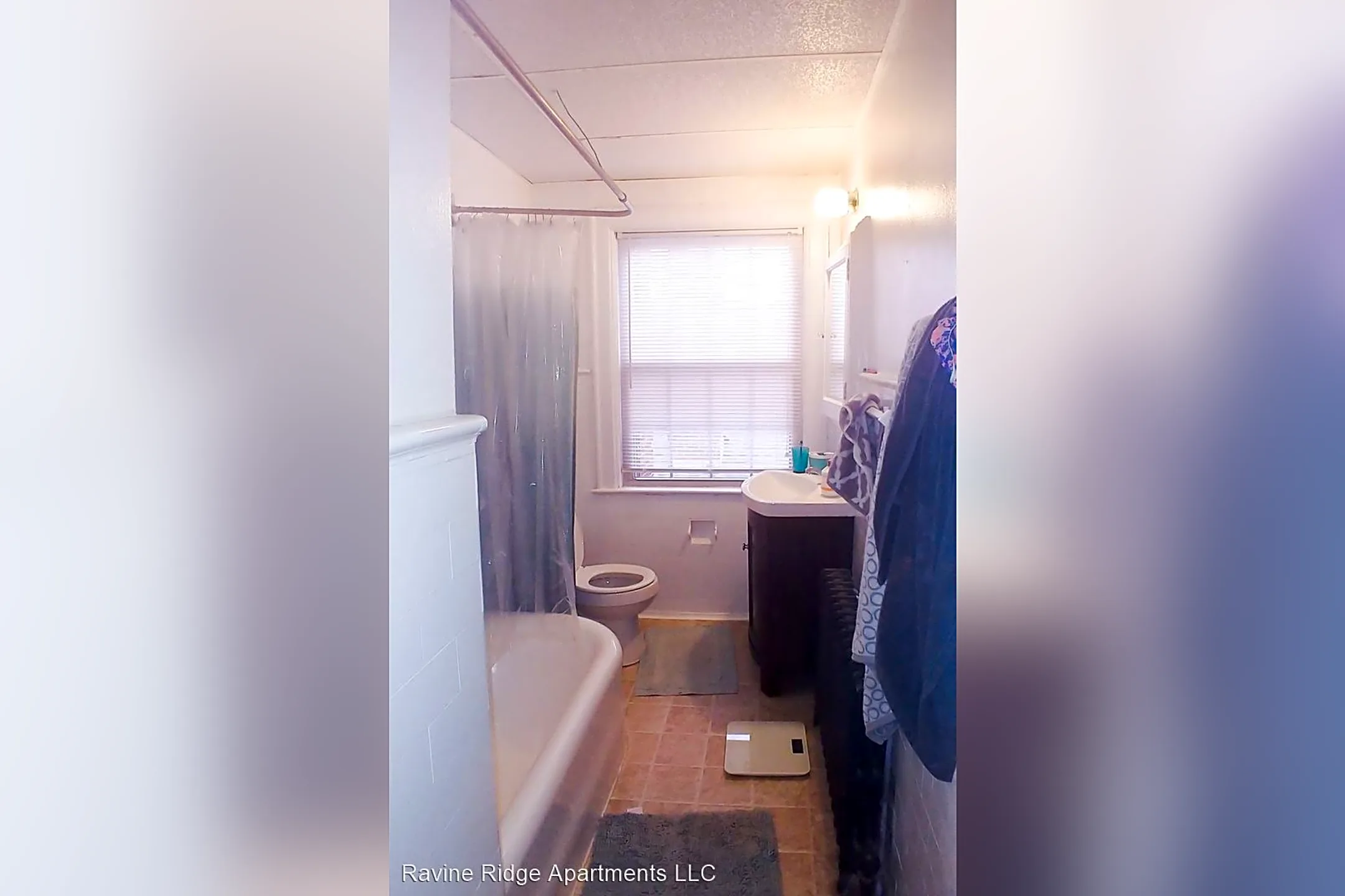 Bathroom - 1350 Neil Avenue - Columbus, OH