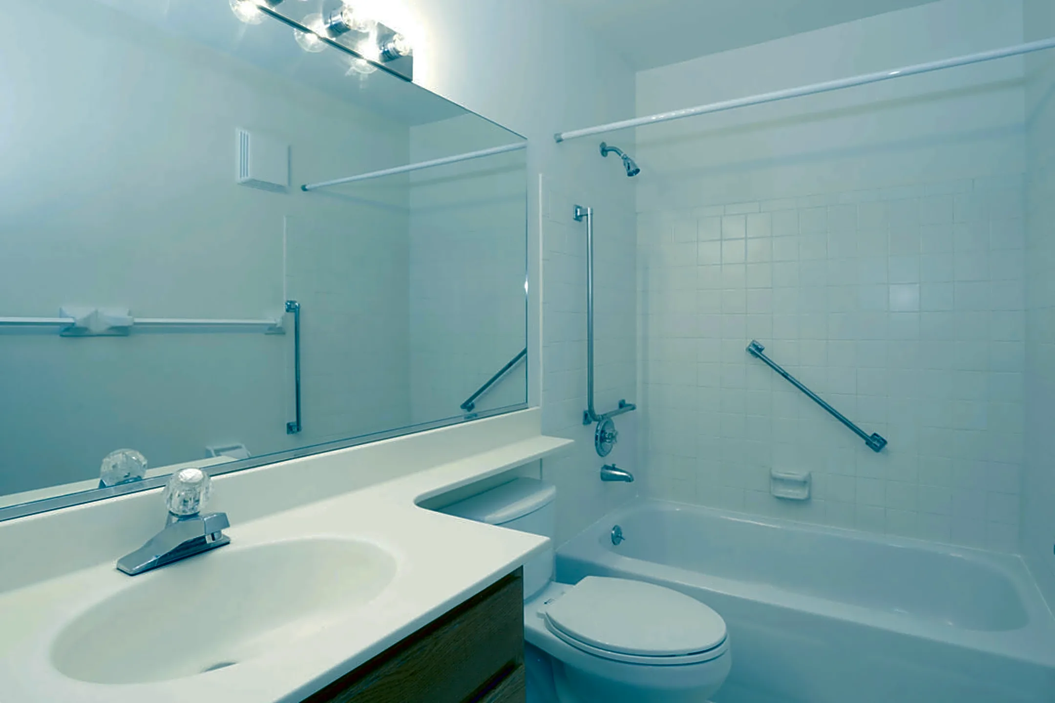 Bathroom - Village Grove Apartments - Elk Grove Village, IL