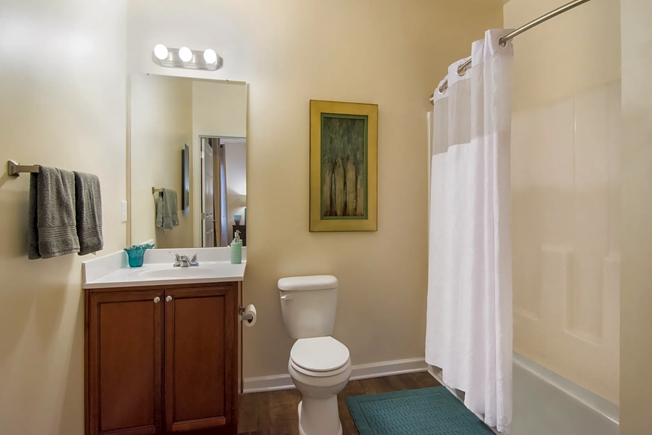 Cadence at Cates Creek 100 Waterstone Park Circle Hillsborough, NC