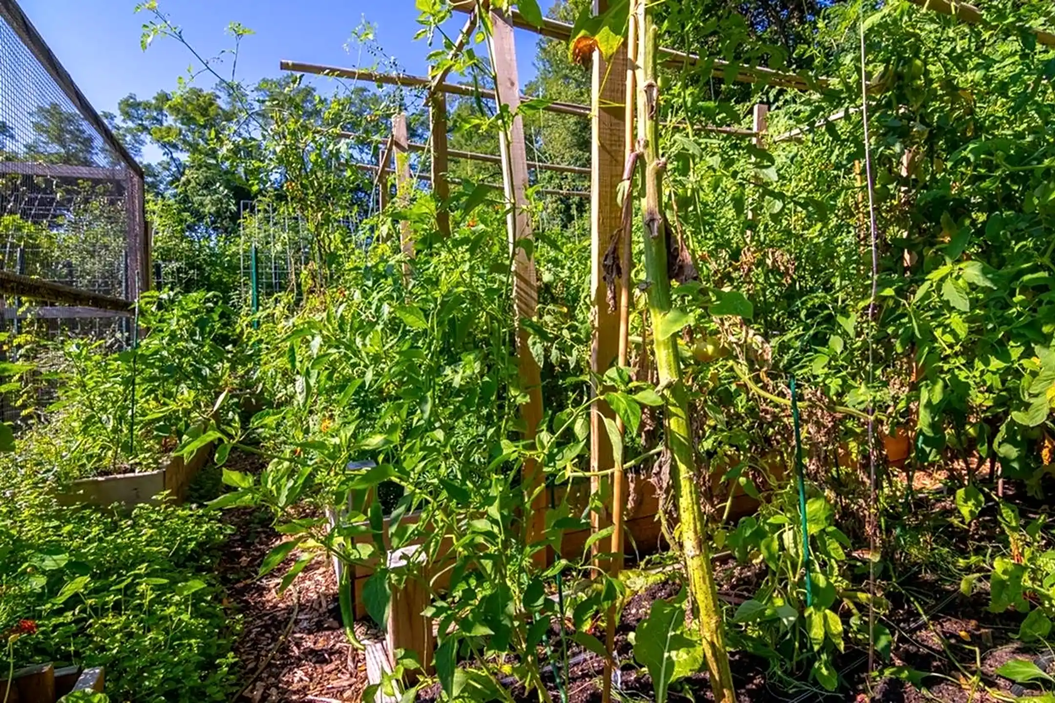 Short Hills Terrace Apartments 806 Morris Tpke Short Hills, NJ