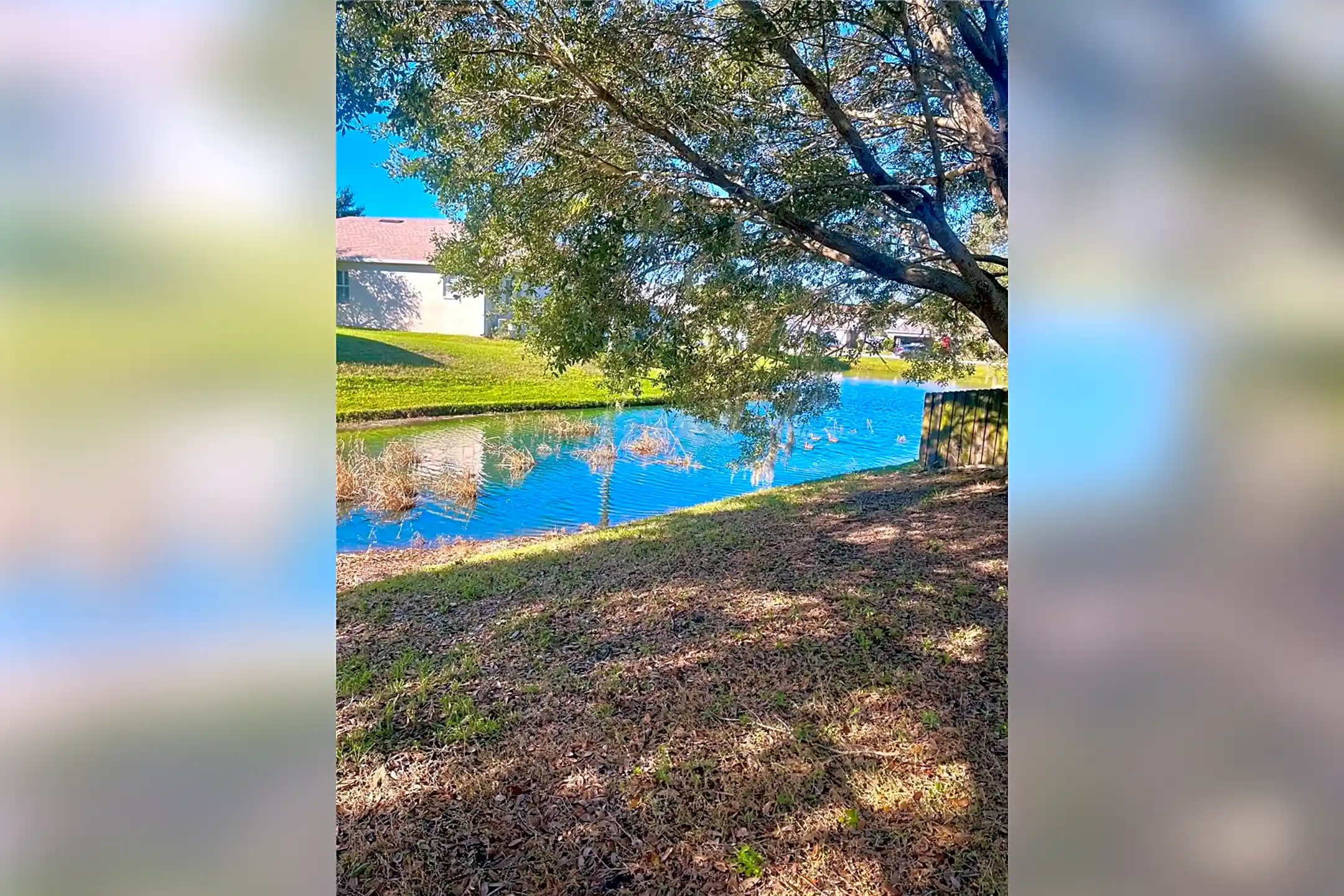 2609 Whitewood Rd Mulberry, FL Houses for Rent Rent.