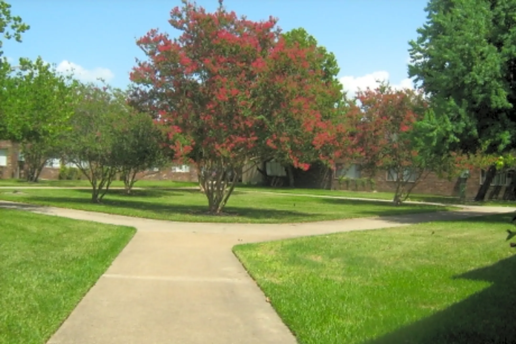 Waived Application Fee Apartments Houston Tx