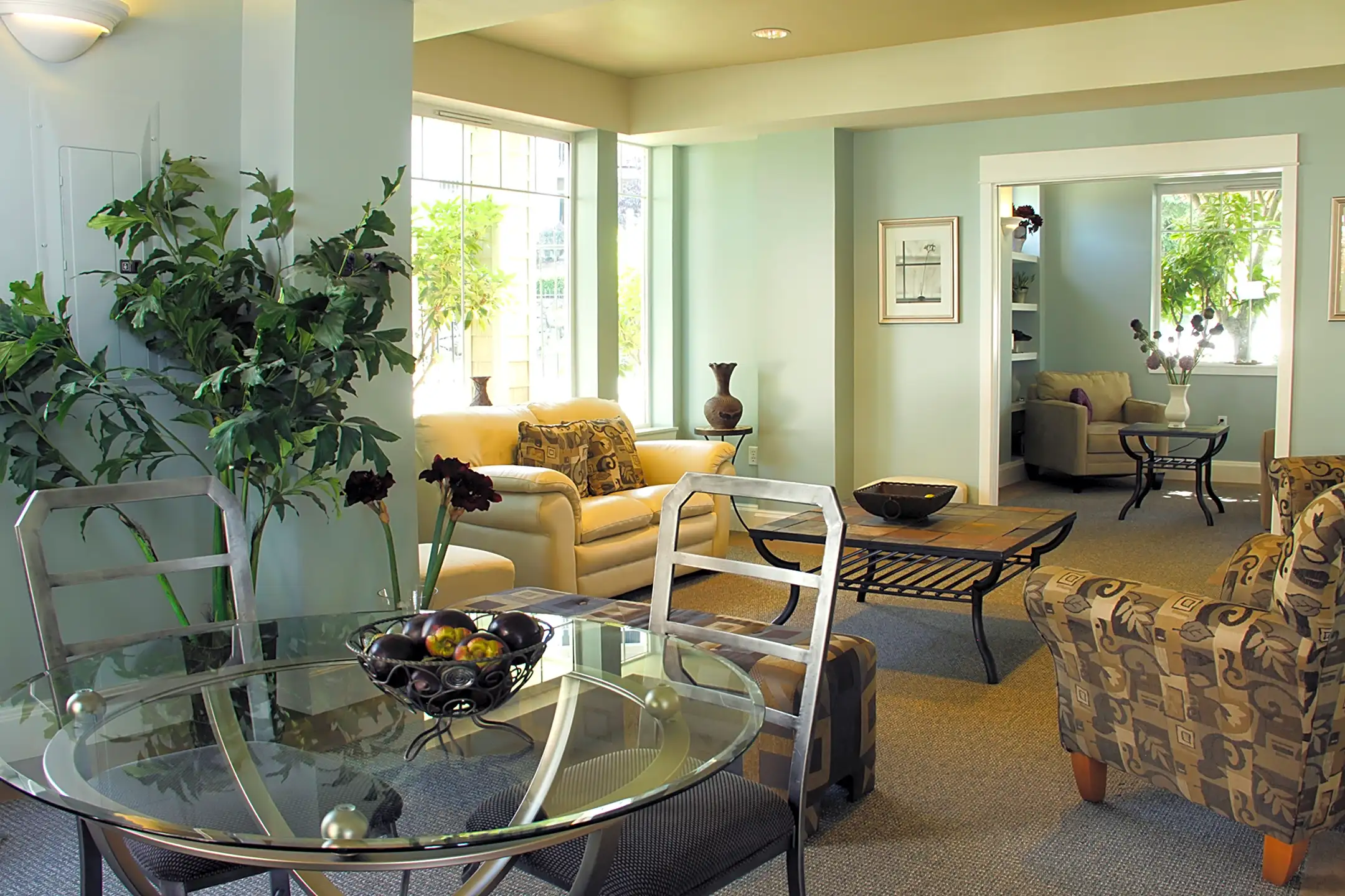 Alder Court WA 98406