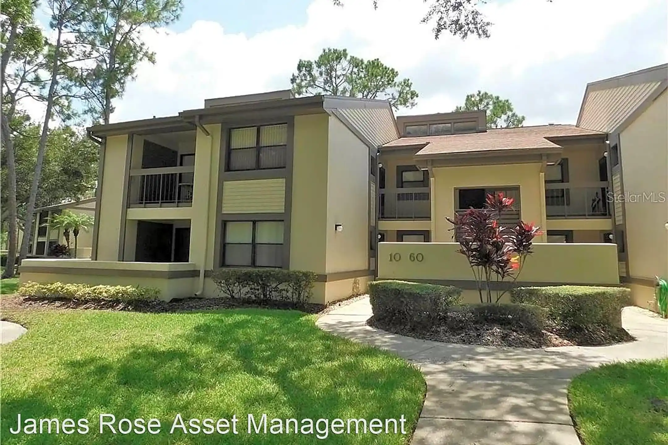 20 Woodlake Pl Oldsmar, FL Houses for Rent Rent.