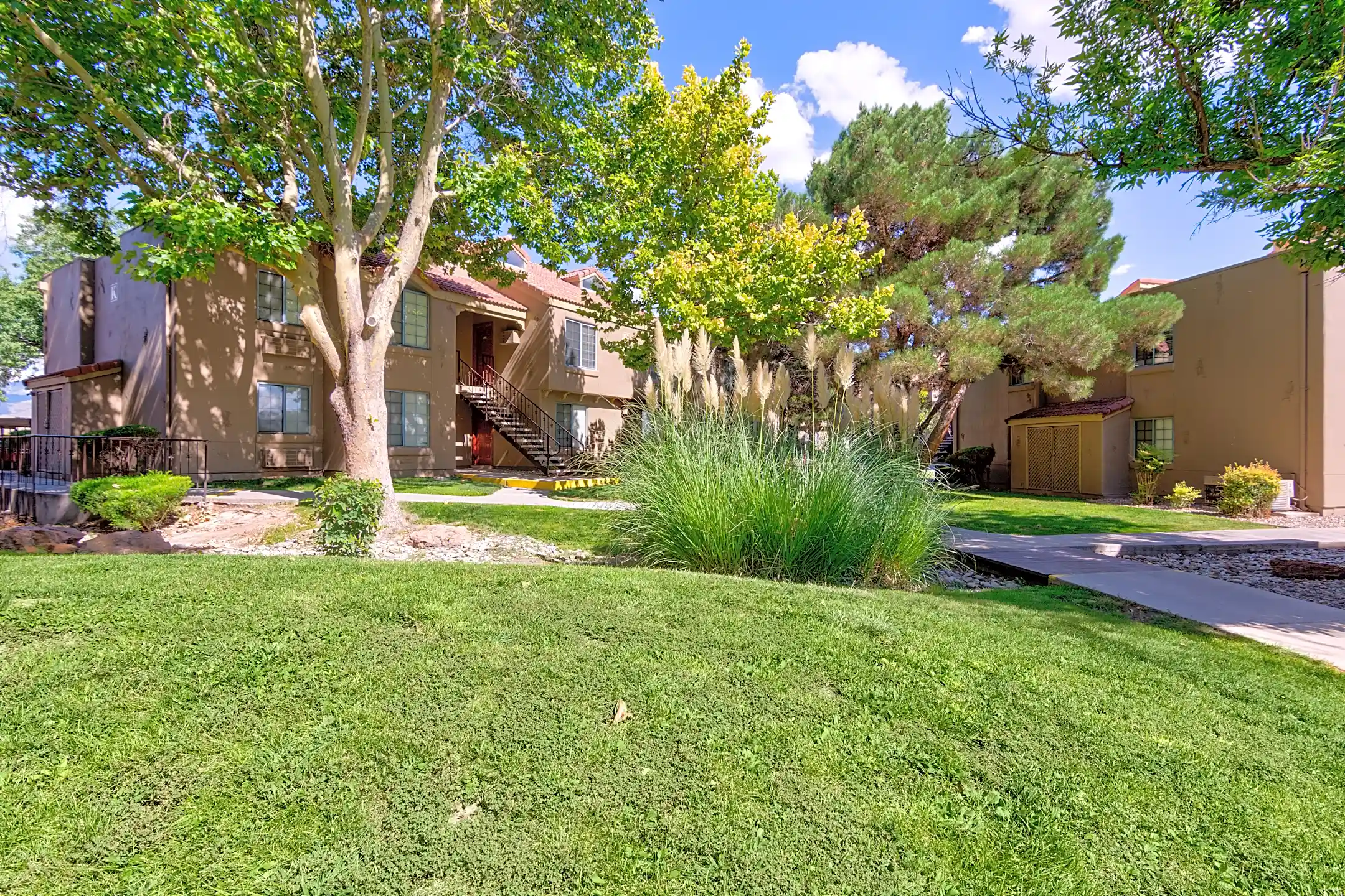 Cinnamon Tree Albuquerque, NM 87108