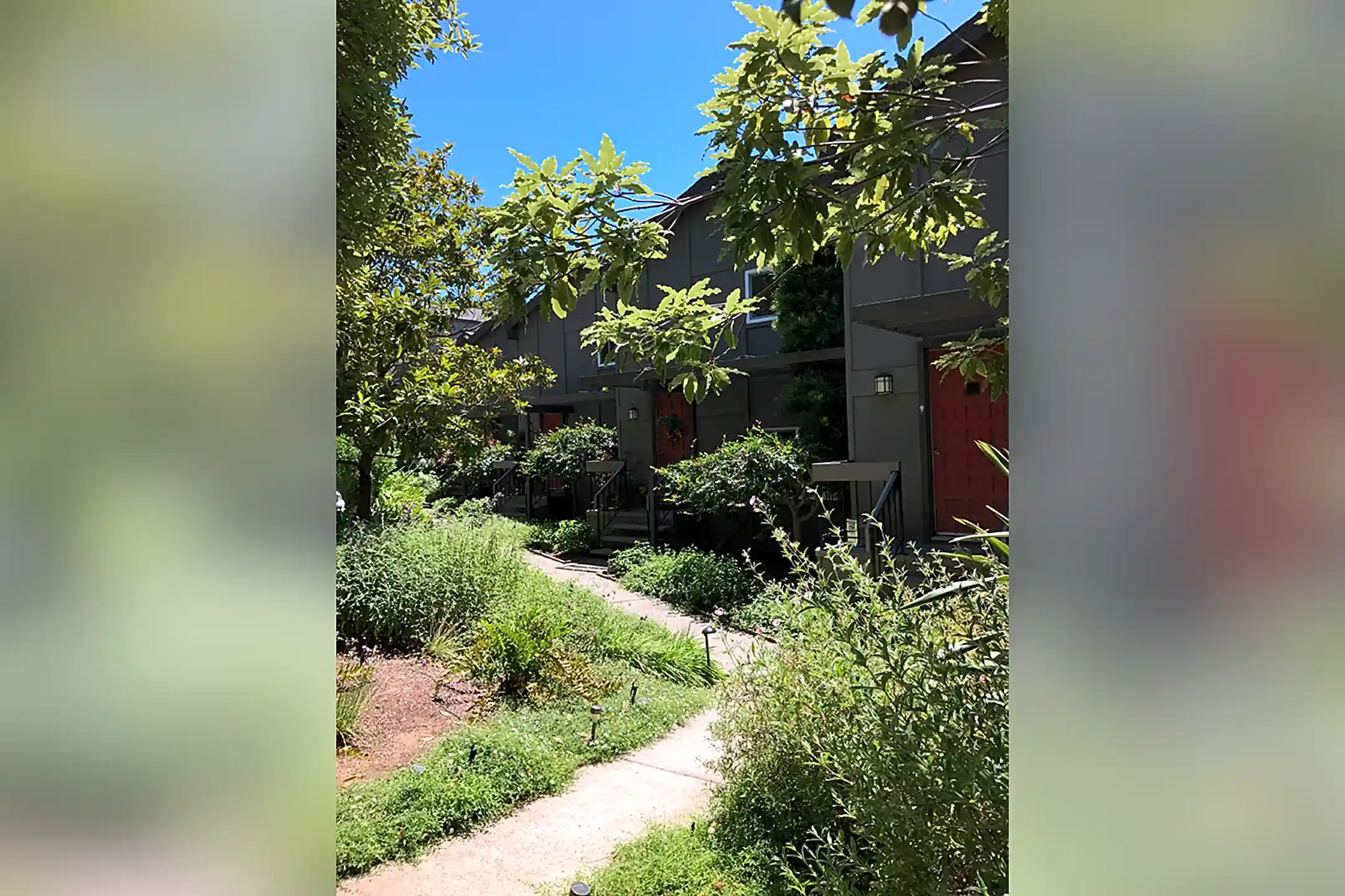 Lyford Apartments 4 Lyford Dr Belvedere Tiburon, CA Apartments for