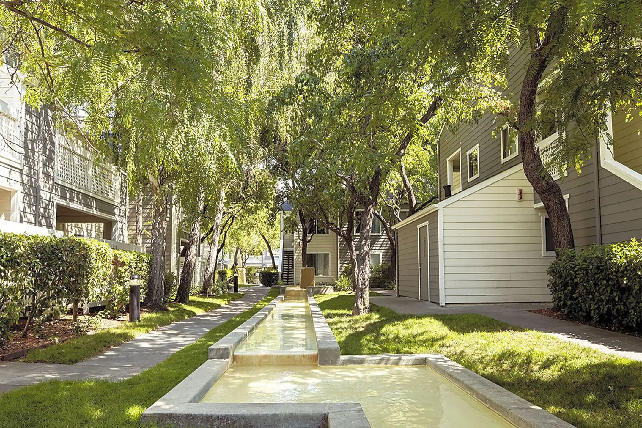 Timberleaf 2147 Newhall St Santa Clara, CA Apartments for Rent Rent.