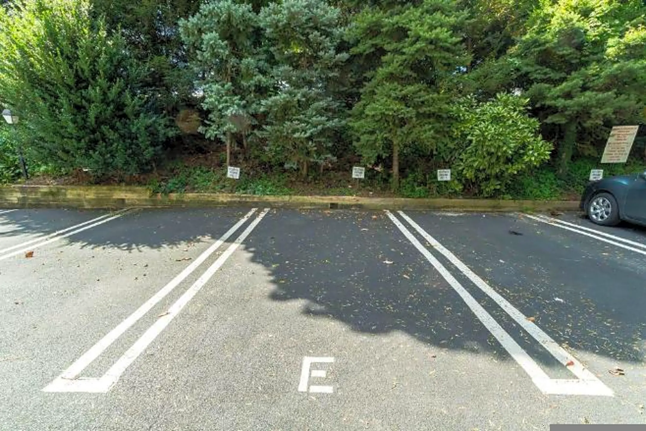 250 Montgomery Ave Haverford, PA Houses for Rent Rent.