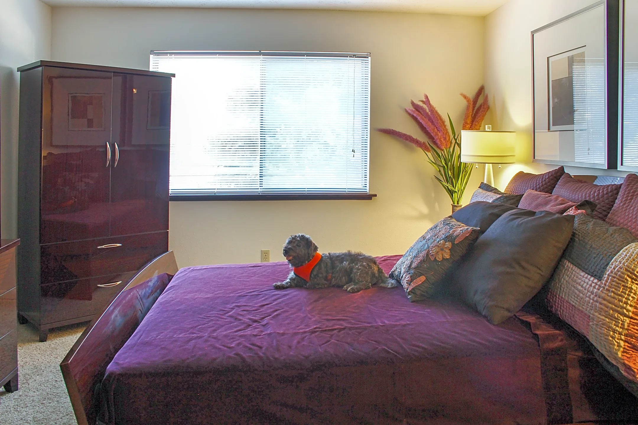 Appletree Apartments 6224 S 97th Ct Omaha, NE Apartments for Rent