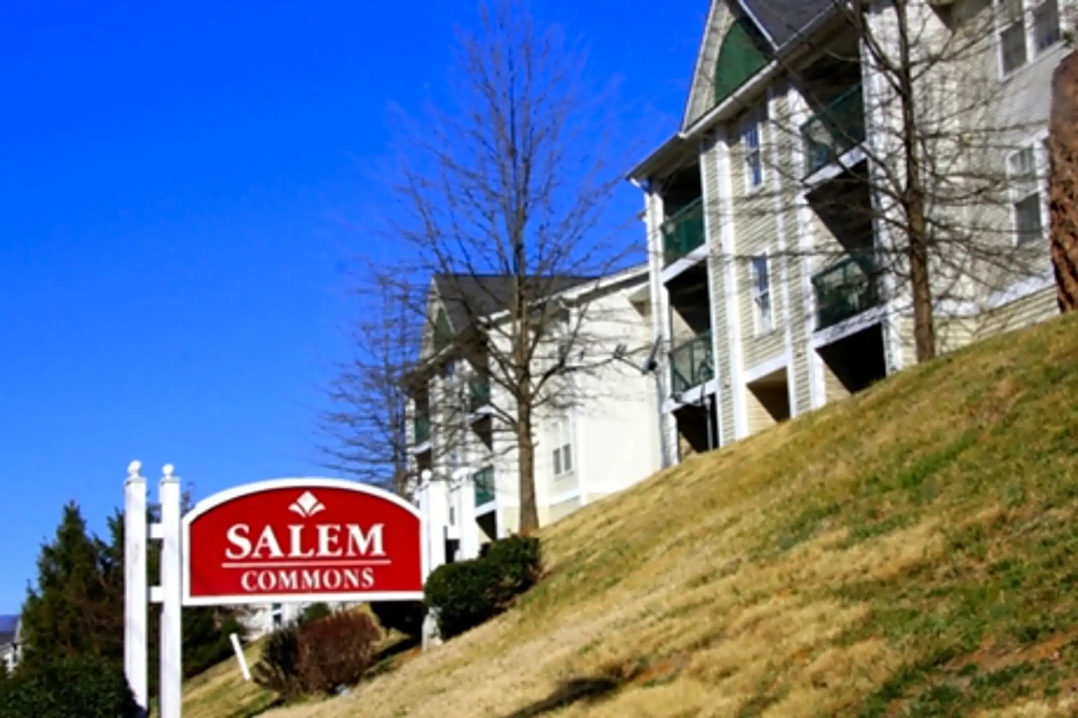 Salem Commons Apartments Salem, VA 24153