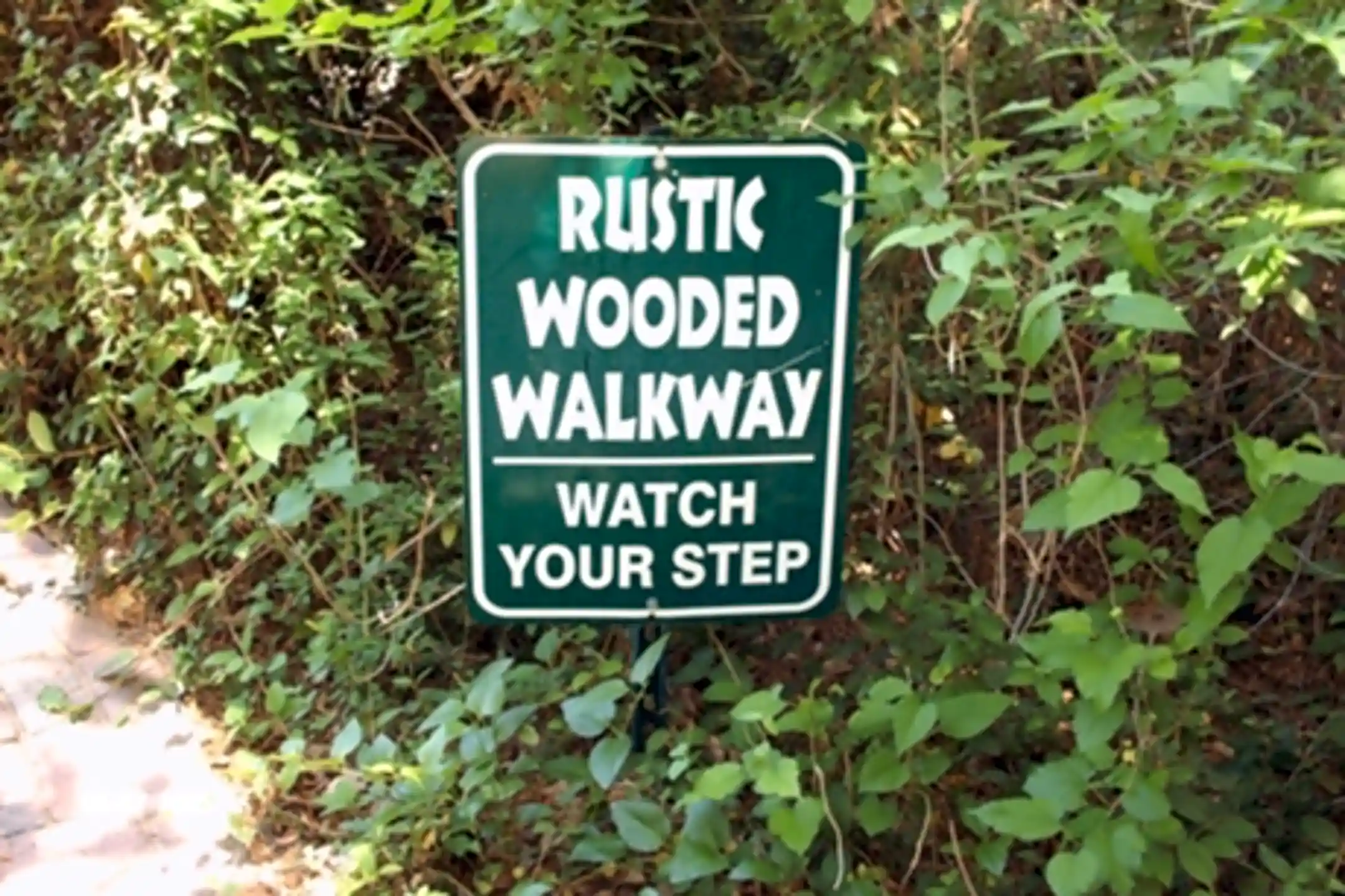 Fountains in the Green 3019 N 14th St Phoenix, AZ Apartments for