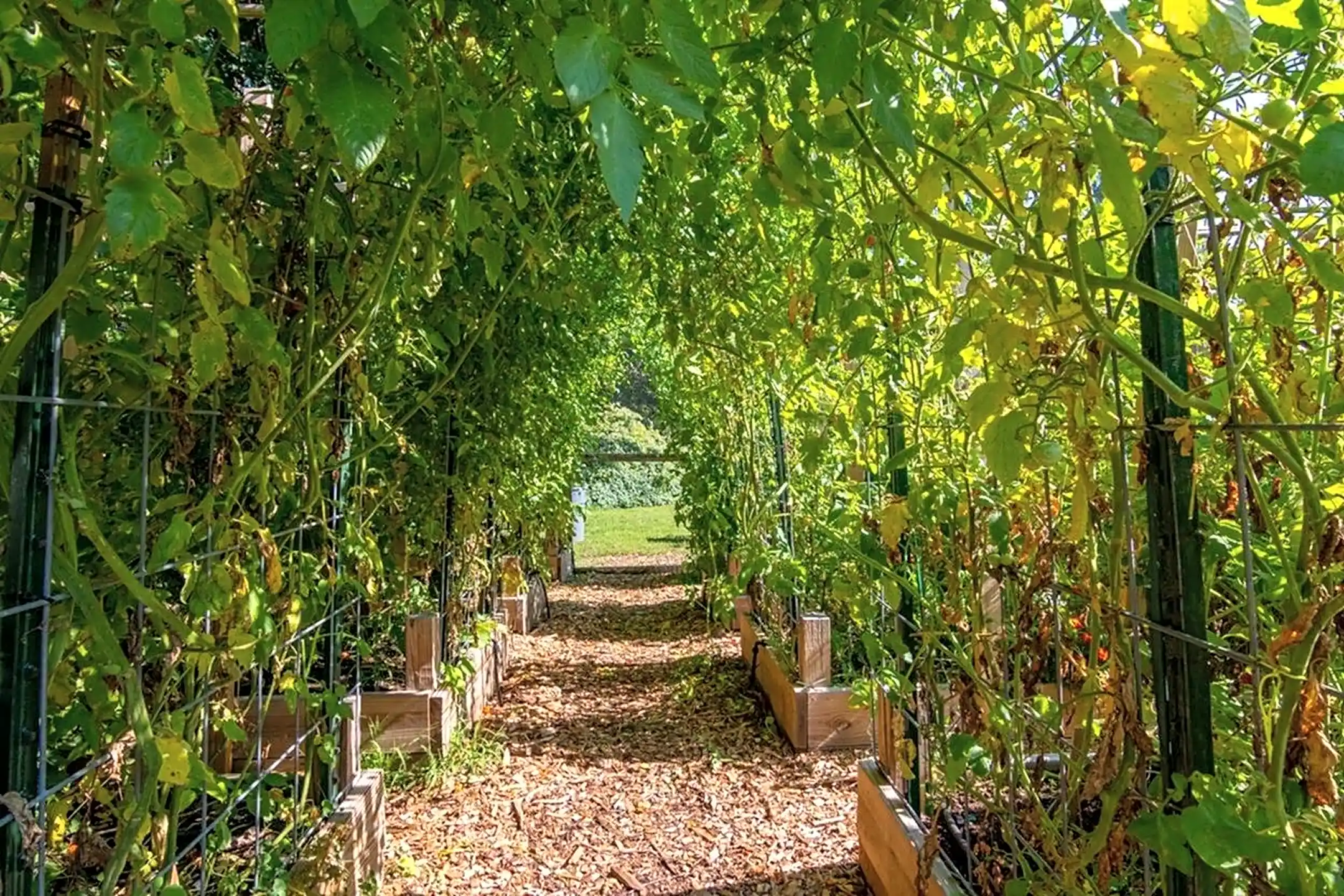 Short Hills Terrace Apartments 806 Morris Tpke Short Hills, NJ