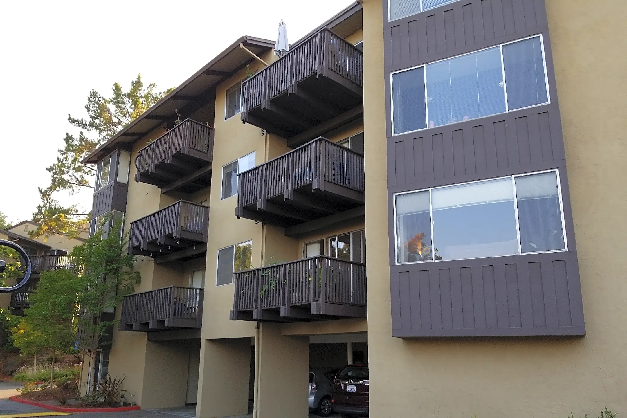 Apartments In Larkspur Ca